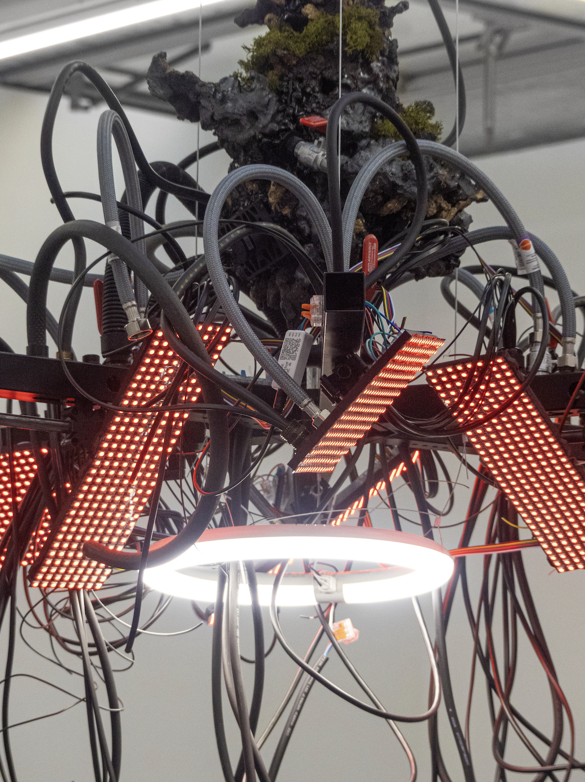 Capture d’écran 2026-03-17 à 12.03.53.png