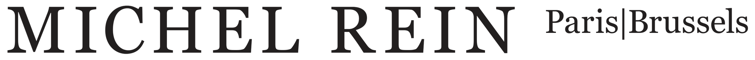 logo Michel rein (1).png