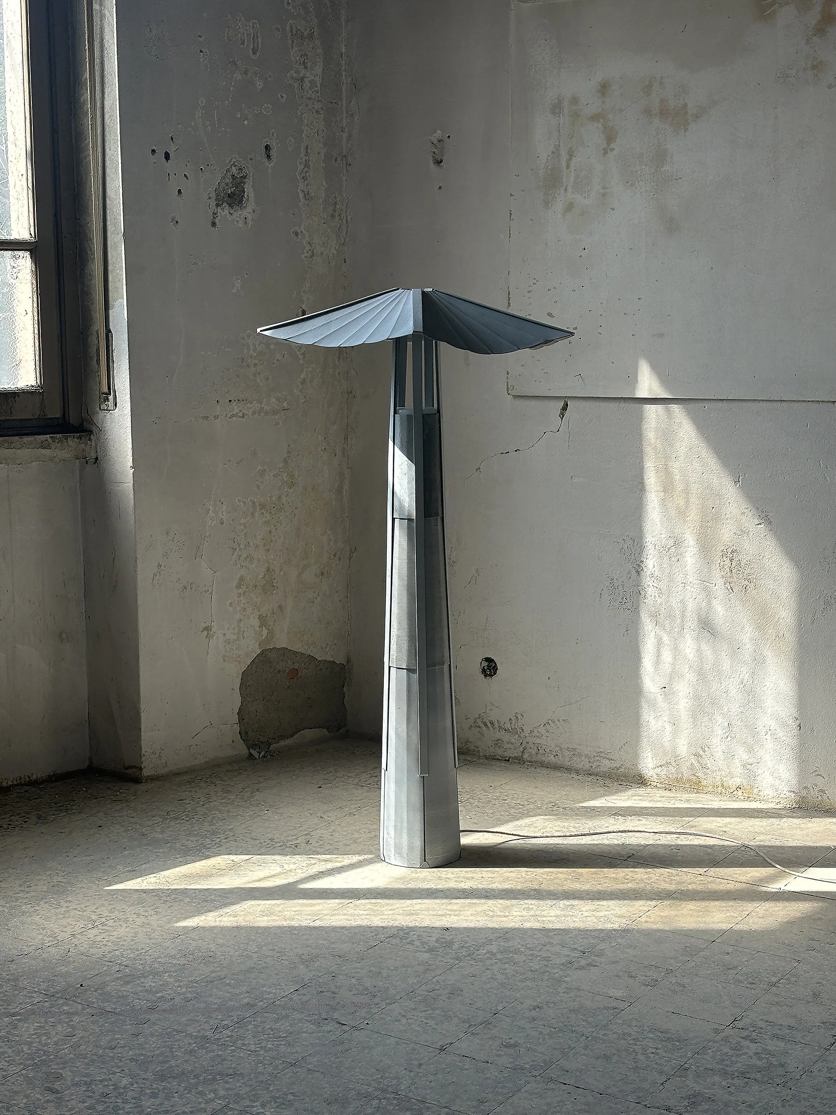 Tourterelle, Miles Le Gras, 2025