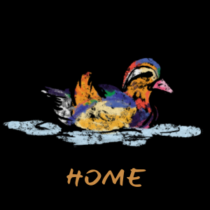 Izame Clothing &amp; Co. 