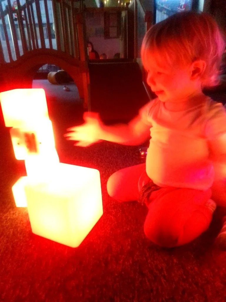 dexter c website.jpg