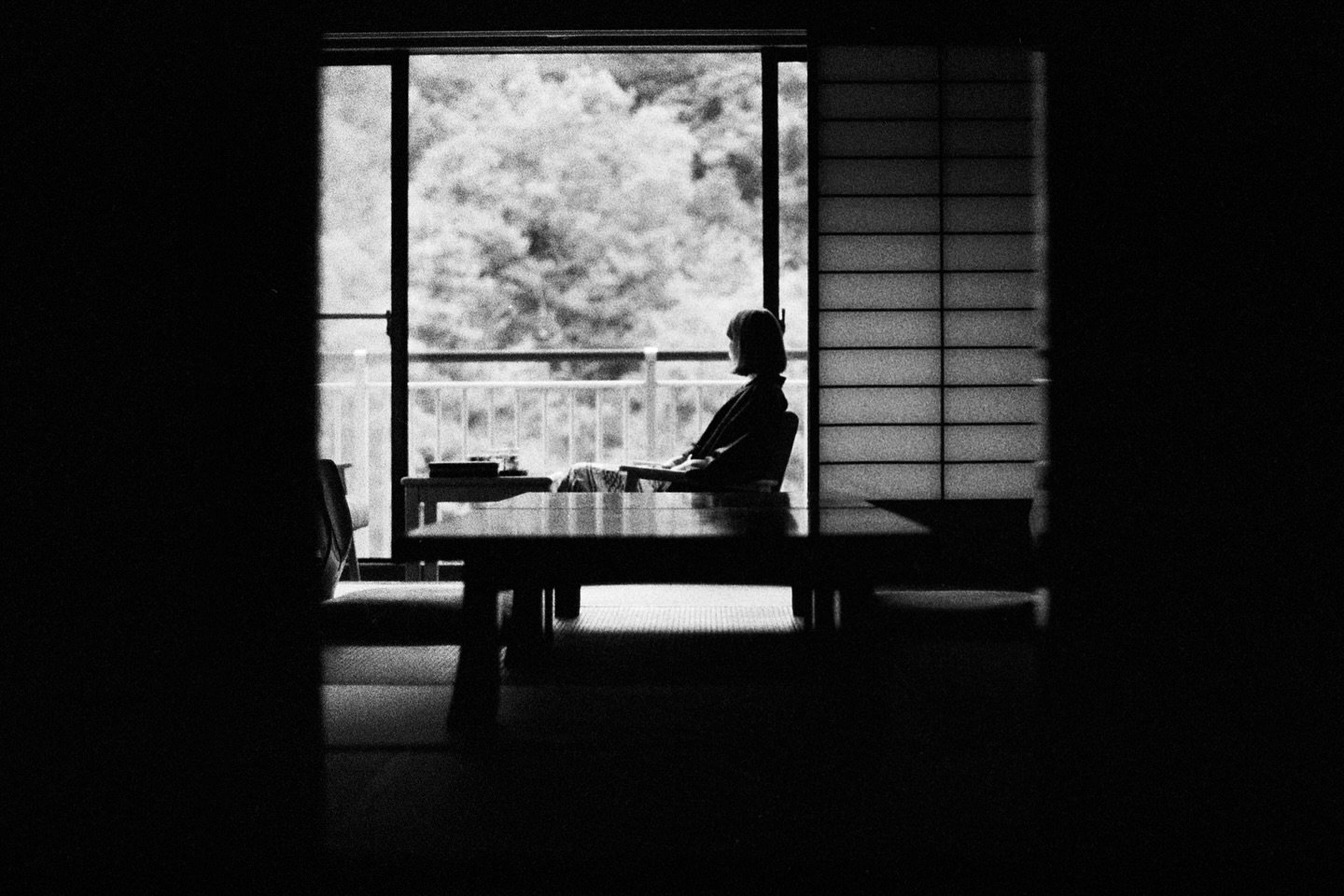 Tra gli shoji, 小さい luce

#ilford3200 #eos5 #flextightx5