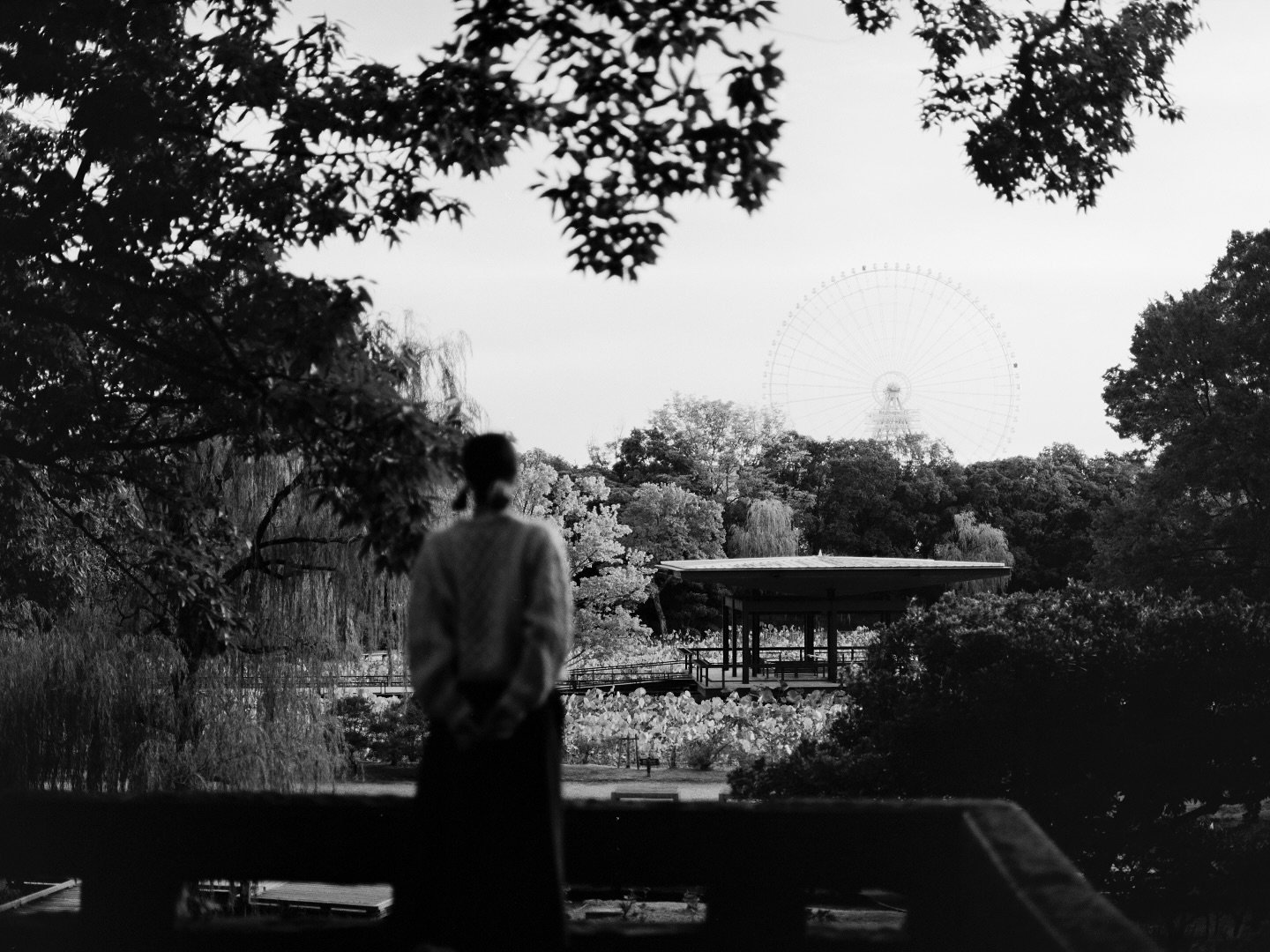 Progresso e armonia per l&rsquo;umanit&agrave;!

#expo1975 #osaka #pentax645 #flextightx5 #acros100ii