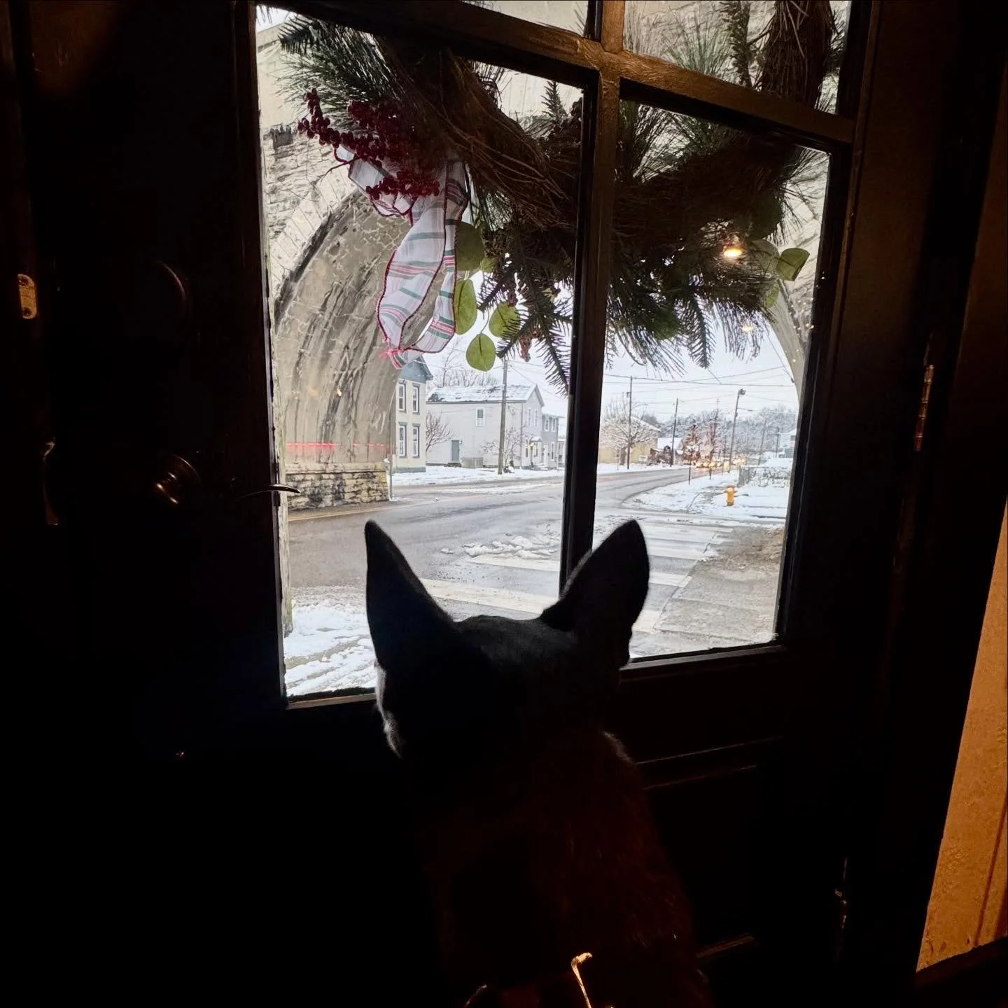 Miss Via keeping an eye on things.