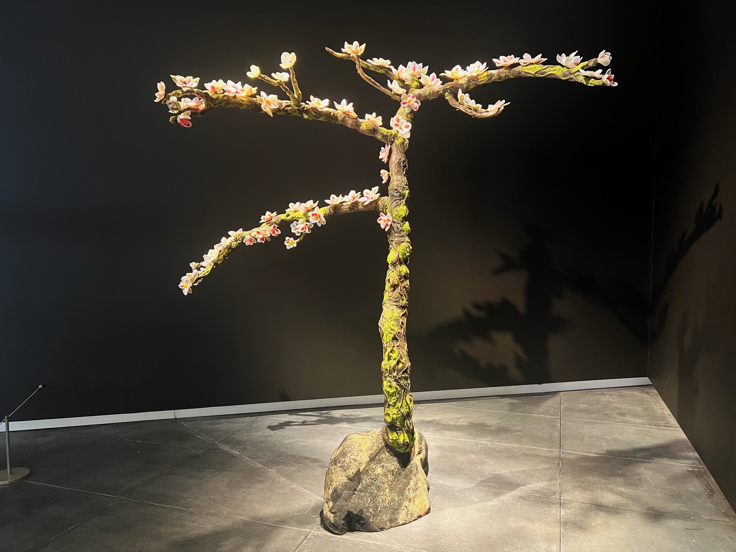 Magnolia (Deborah Moore)