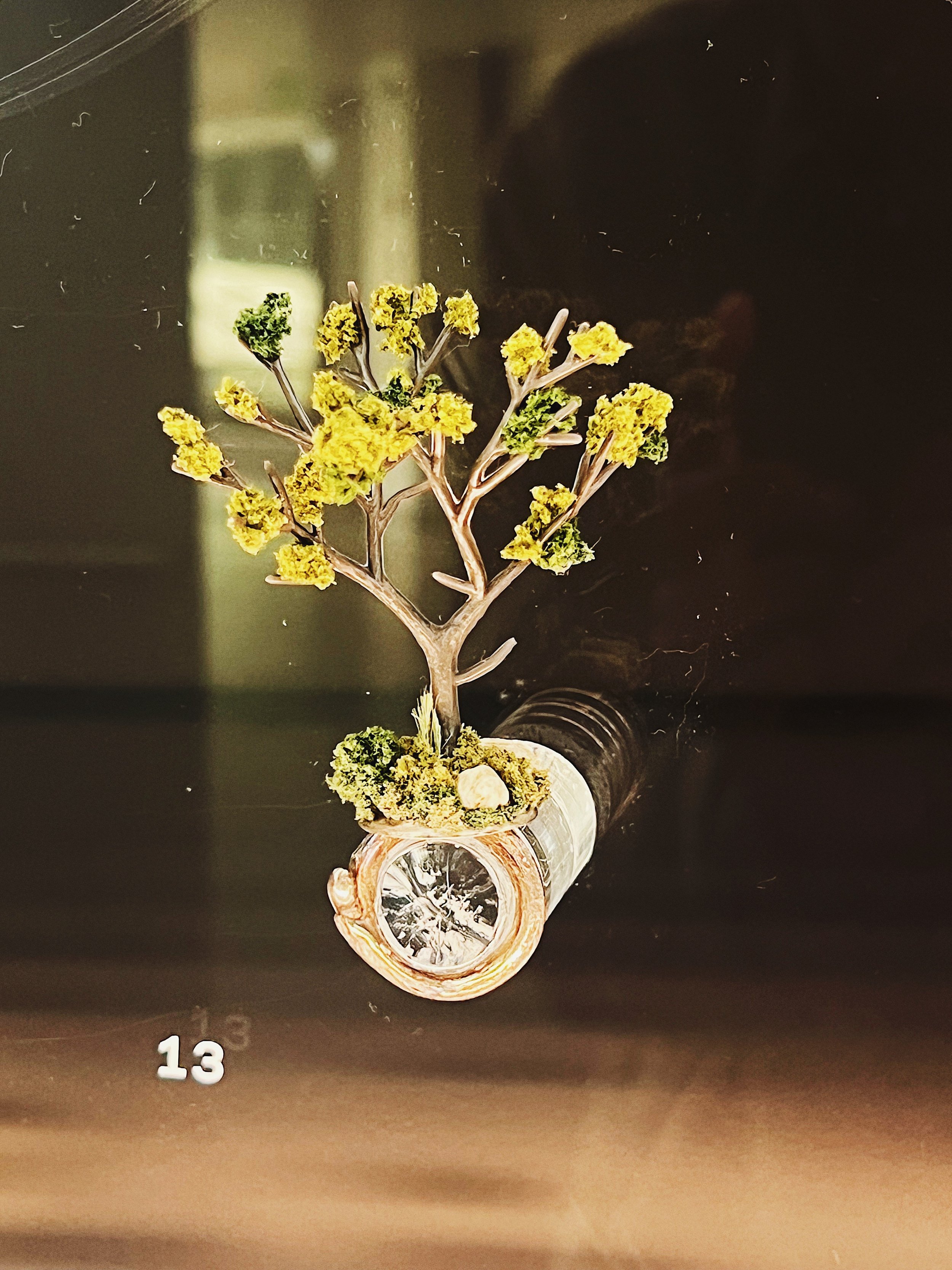 Summer Tree Ring (Sarah Hood)