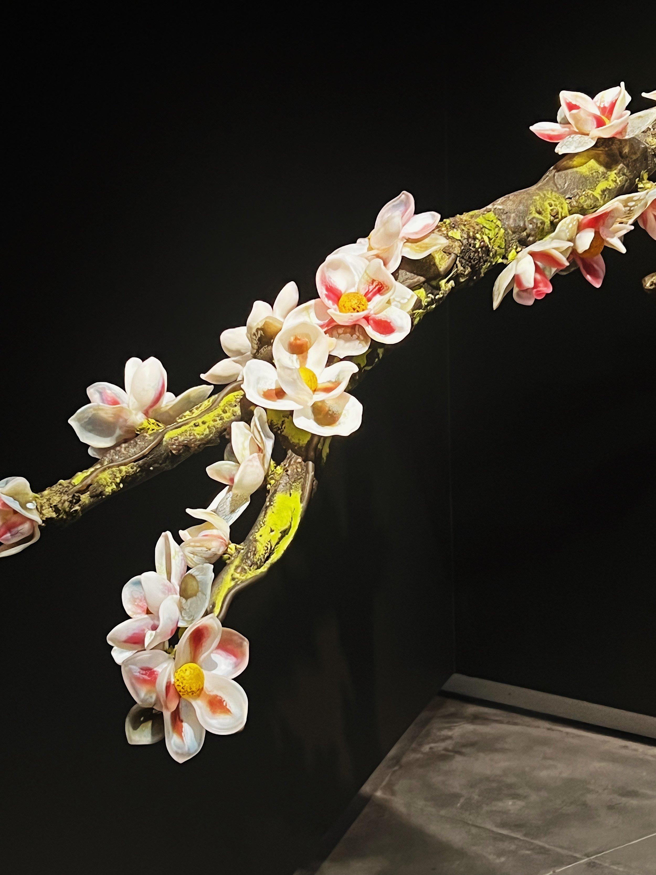 Magnolia (Deborah Moore)