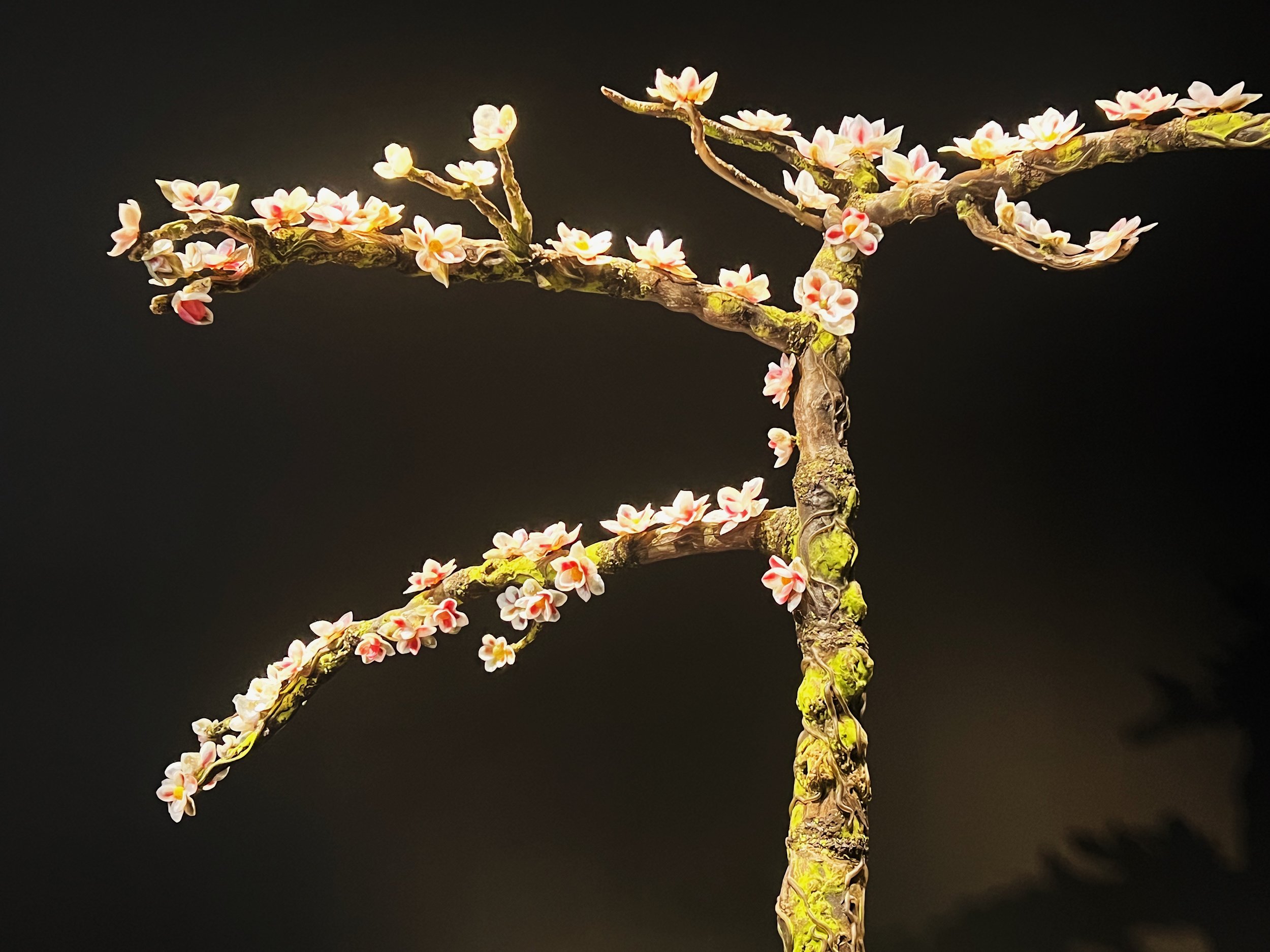Magnolia (Deborah Moore)