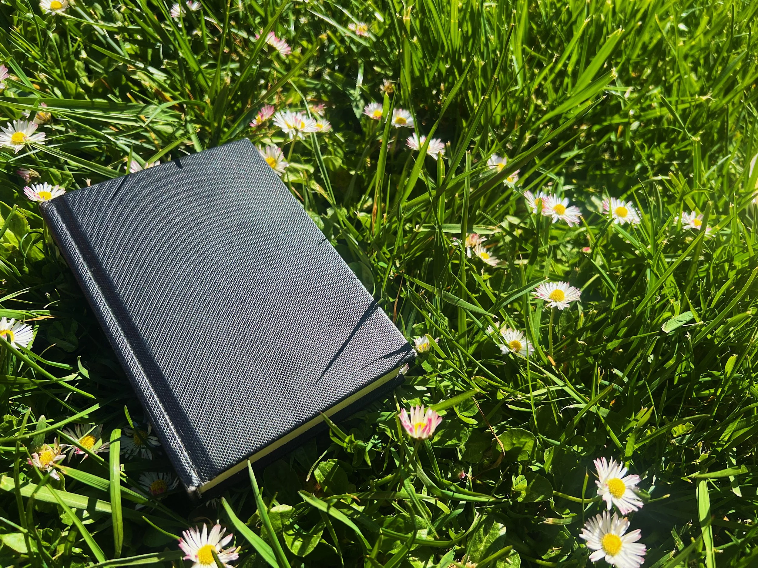 Mini portrait book