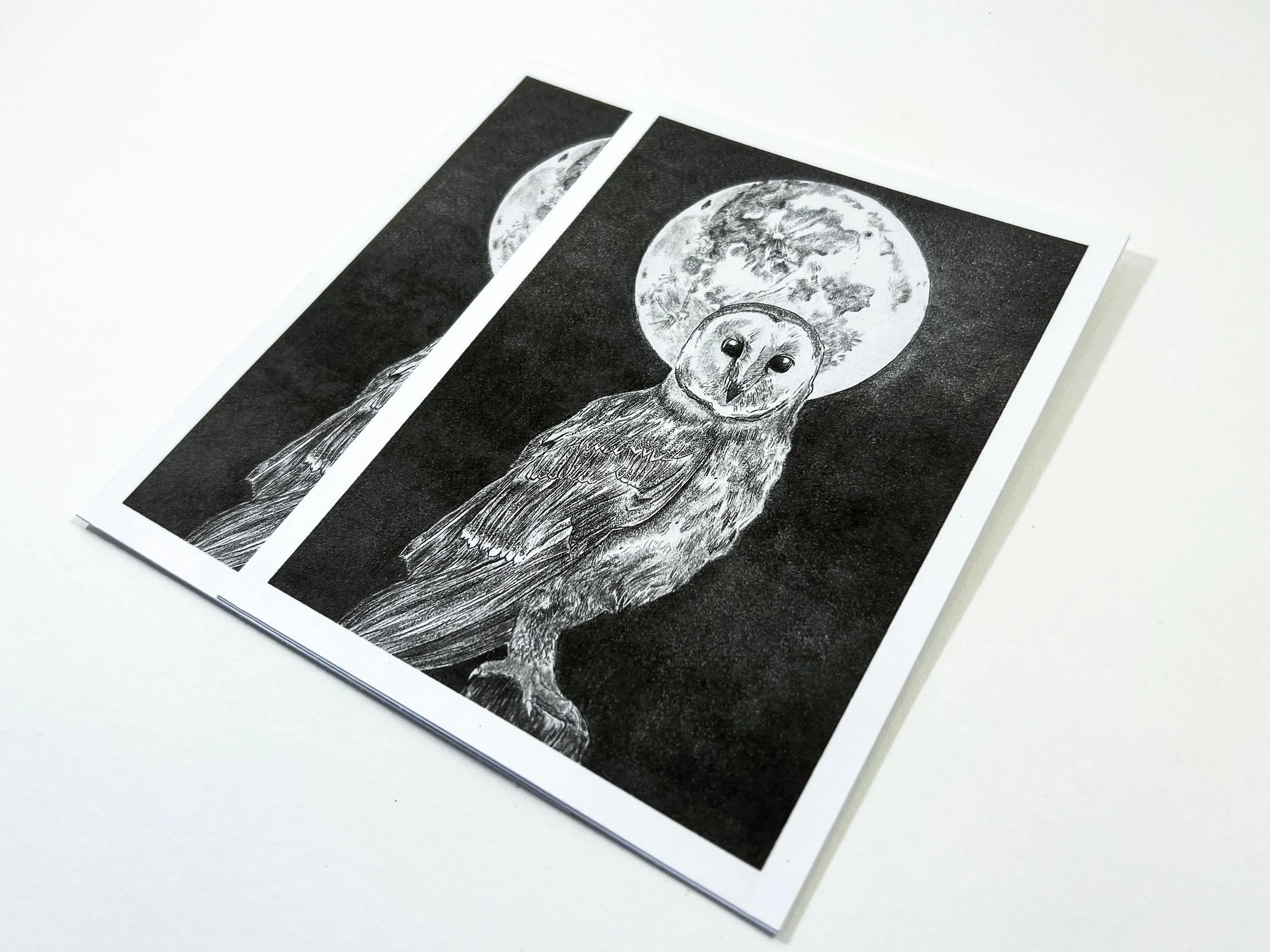 Night Owl [Graphite Print]
