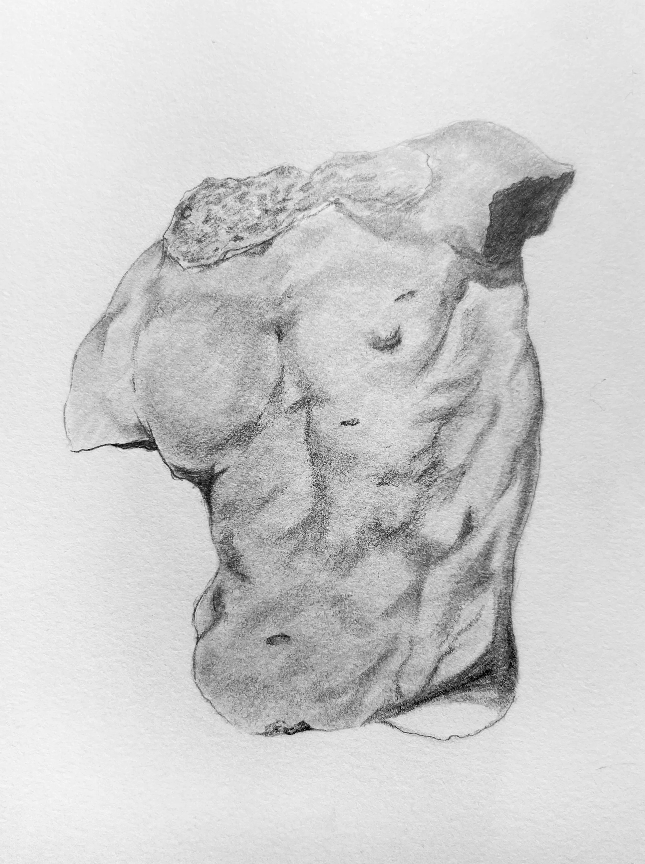 torso (edit) (1 of 1).jpg