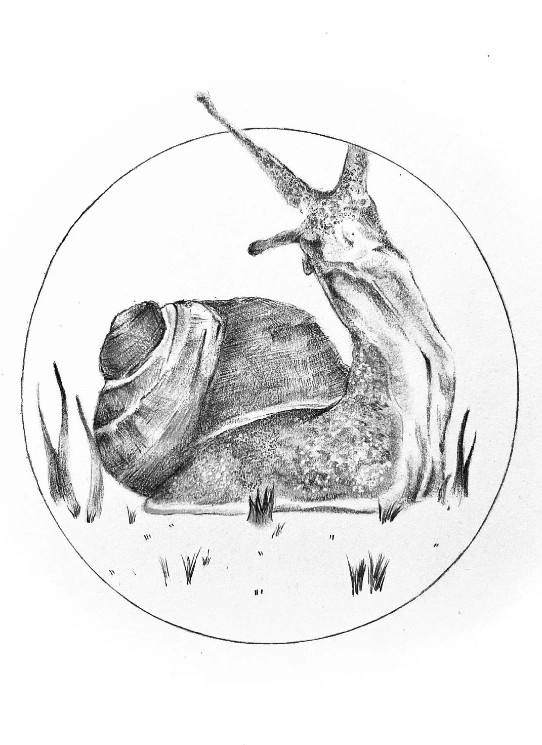Untitled_Artwork (2).jpg