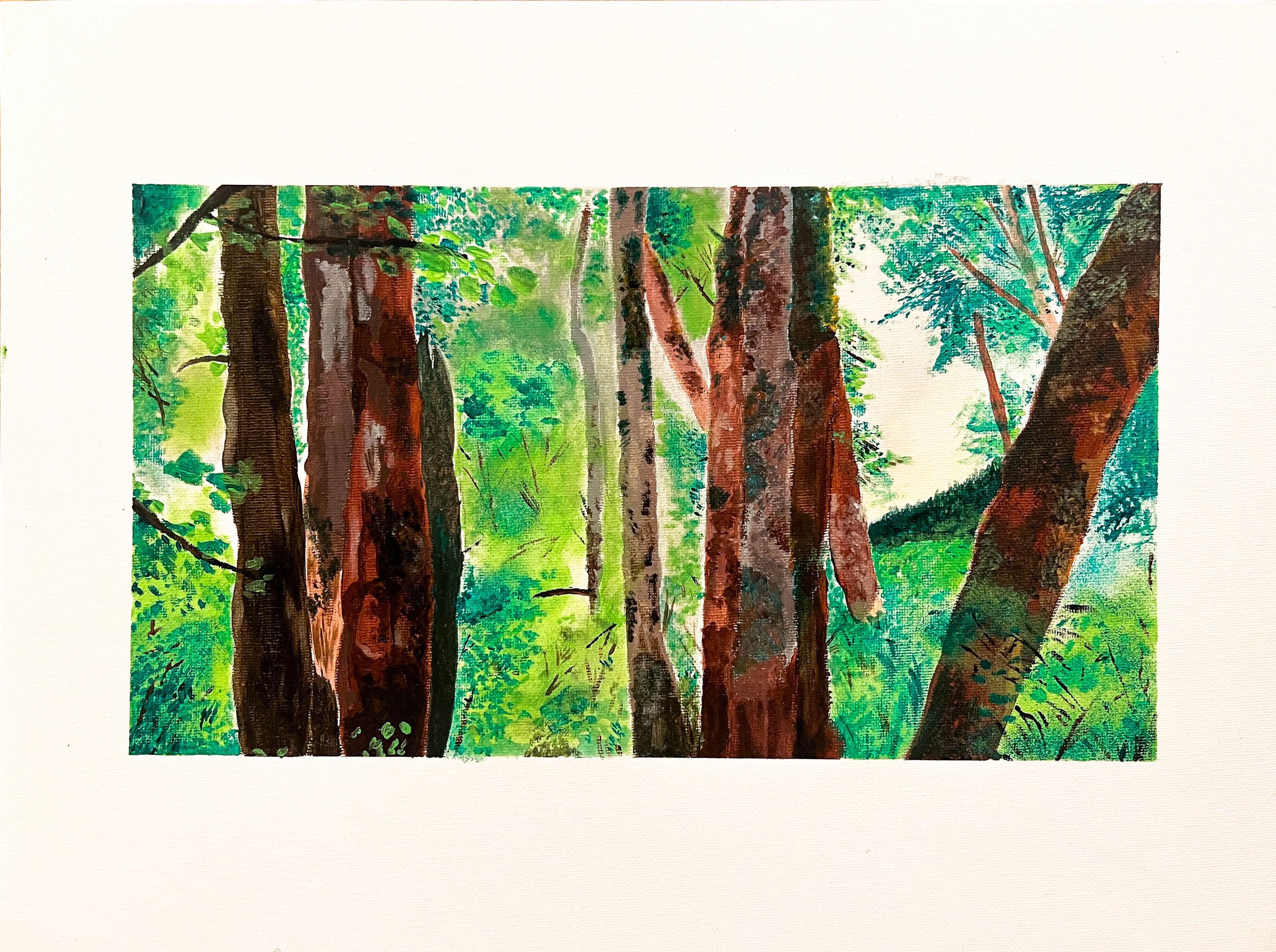 "A Walk Through The Park"