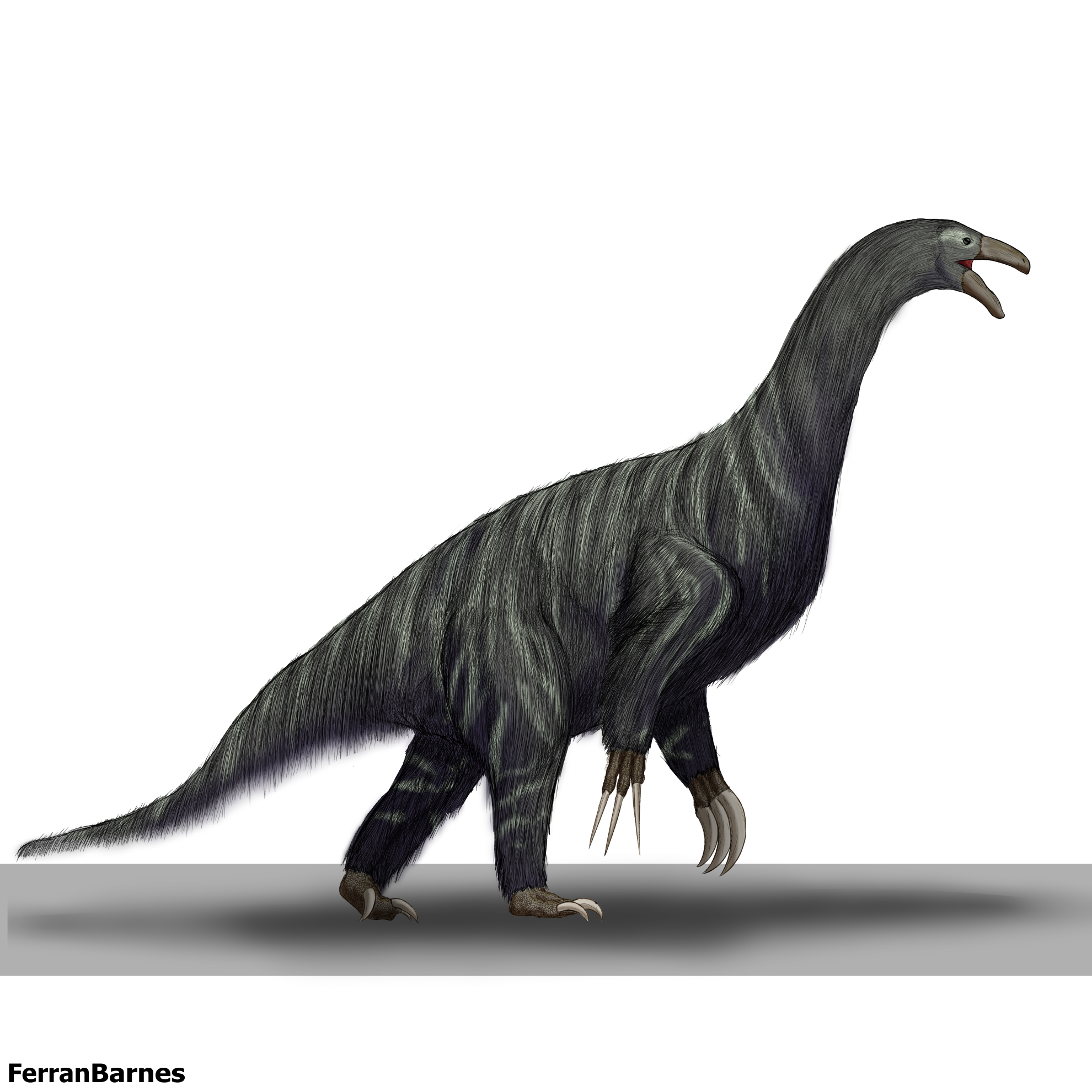 Therizinosaurus cheloniformis reconstruction