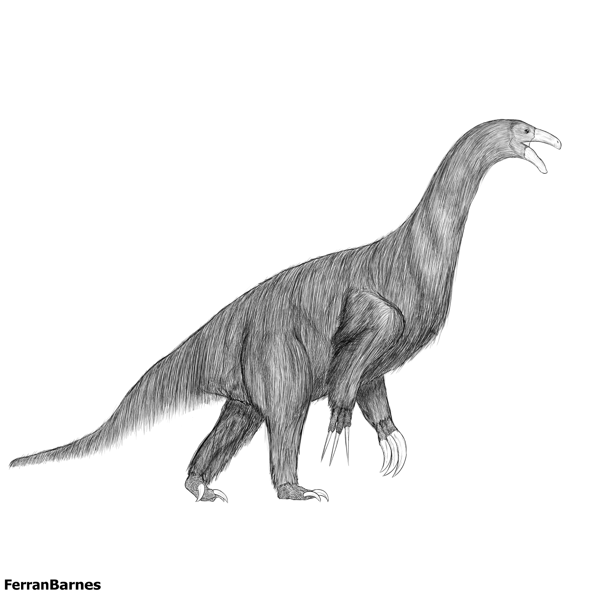 Therizinosaurus cheloniformis reconstruction