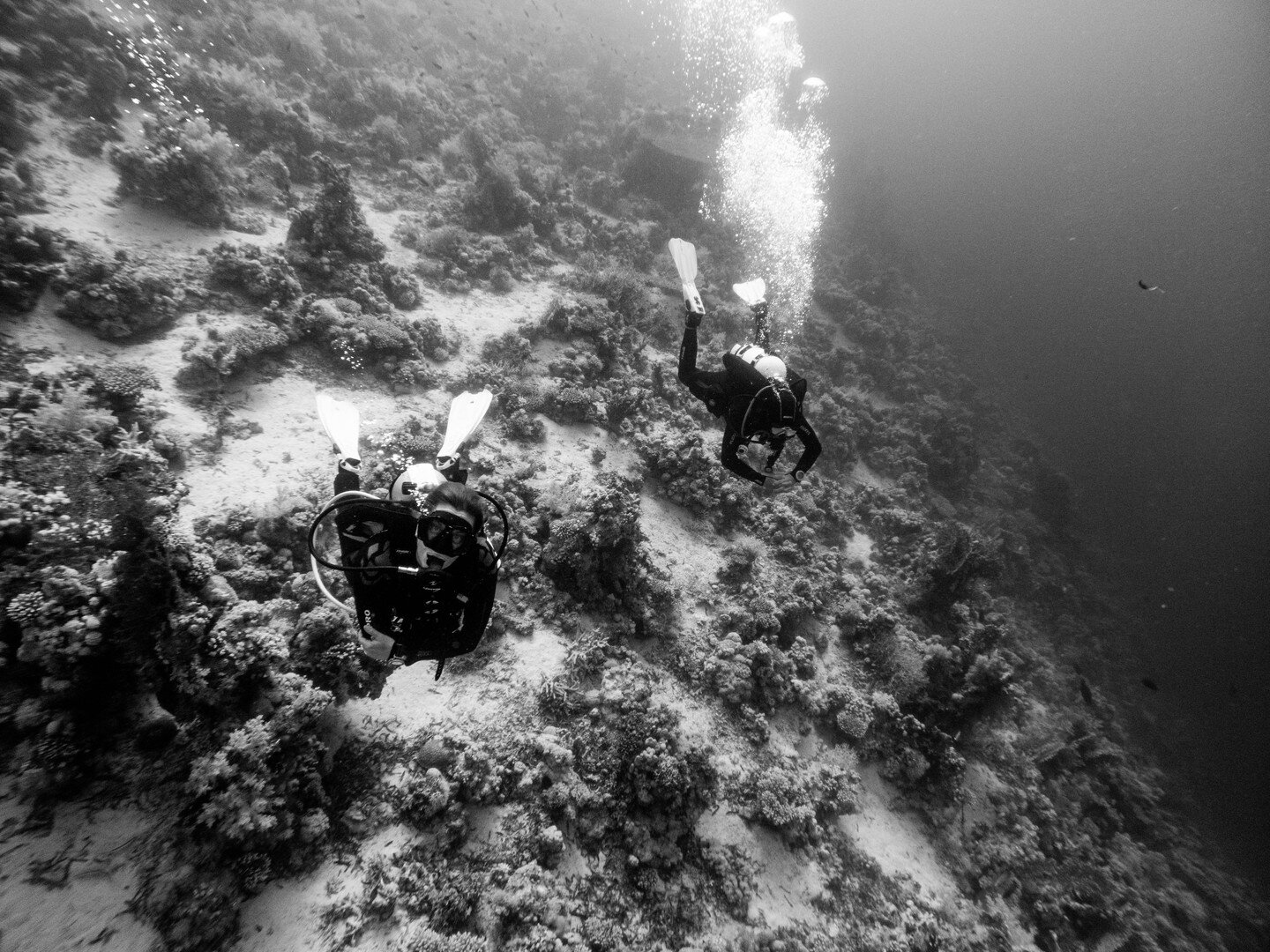 We are currently in the Red Sea off the coast of the Sinai Peninsula. We just dived Ras Mohammad, and the tech divers are preparing for their next dive. 

People are asking us when our next Red Sea Dive Expedition is, and the answer is 14-24th June 2