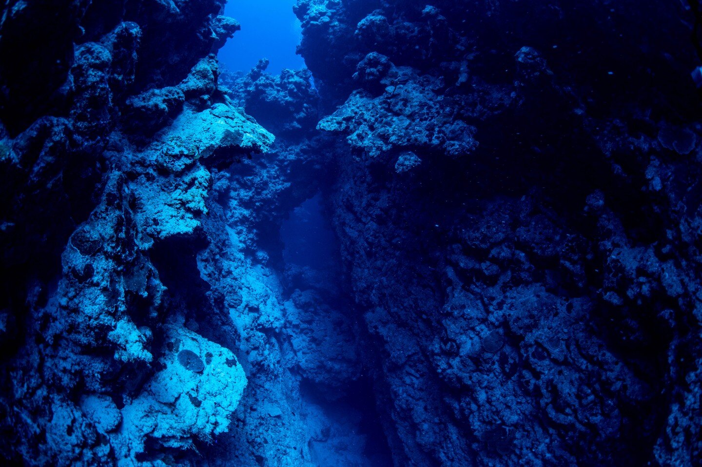 Diving off Thomas Reef and the Million Hope. Some stunning dives with Red Sea Explorers. 

#redsea #divetheunexplored #orientafricatravel #techdiving #scubadiving #expedition