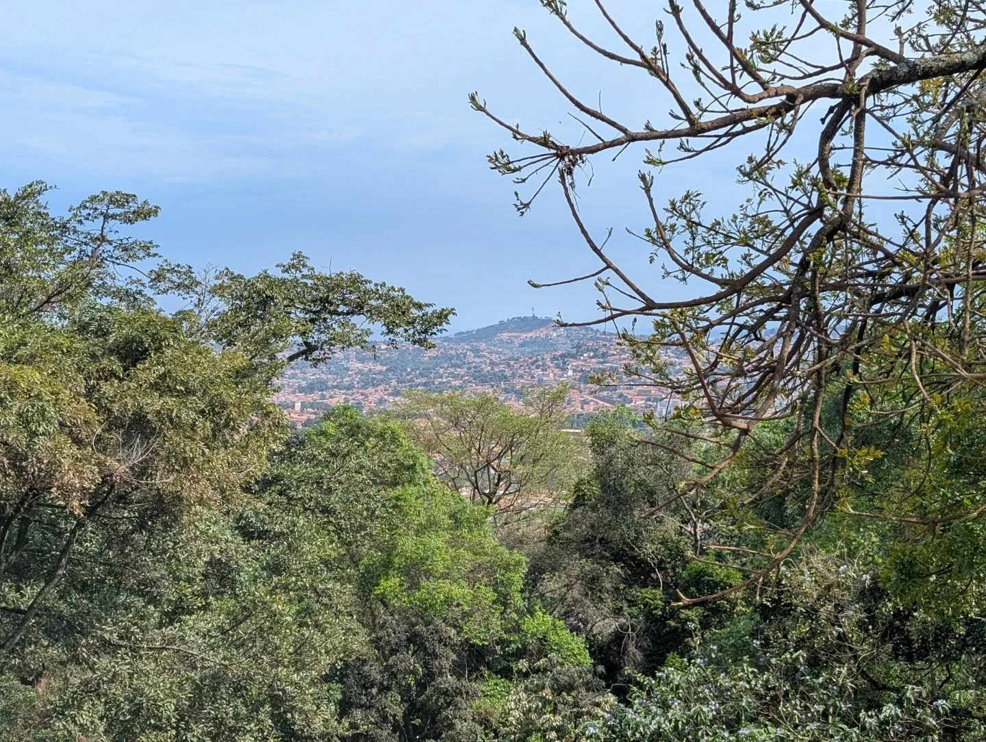 Just like that, we arrive in Africa.
It's amazing to be back.
#uganda #kenya #orientafricatravel #divetheunexplored #scubadiving #safari