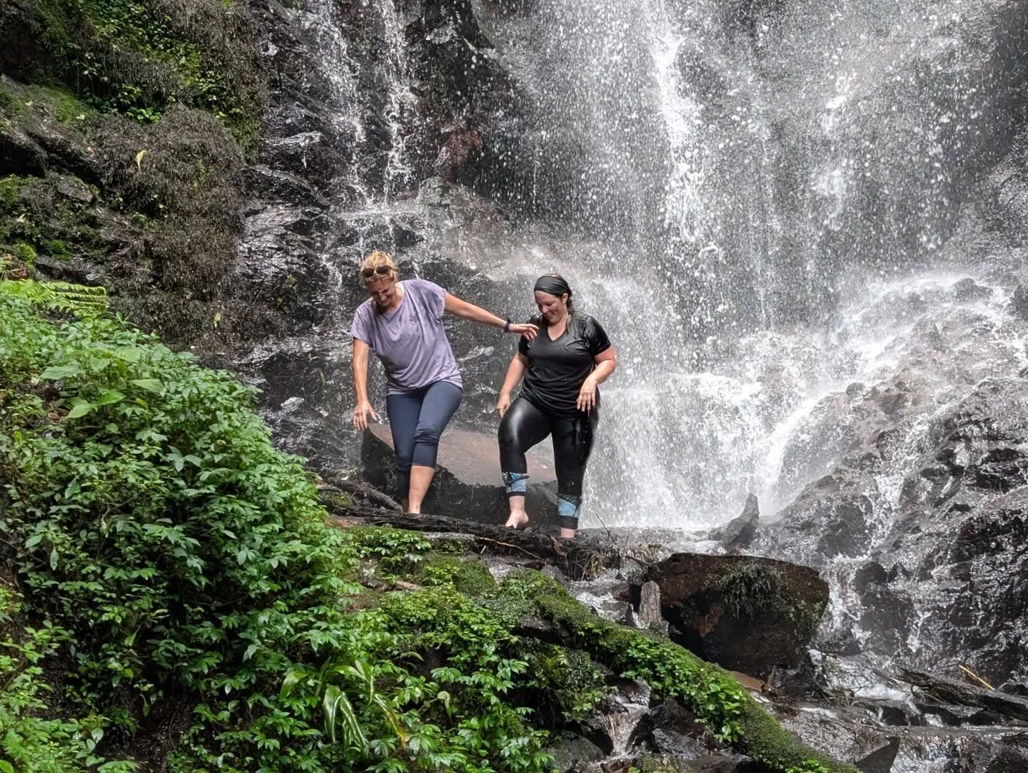 Standard nature trekking in Uganda. Heard Gorrilas 300-500m away. An amazing place. Let's see what tomorrow brings.
#orientafricatravel #gorilla #divetheunexplored #scubadiving #addon #safari #uganda #bwindi