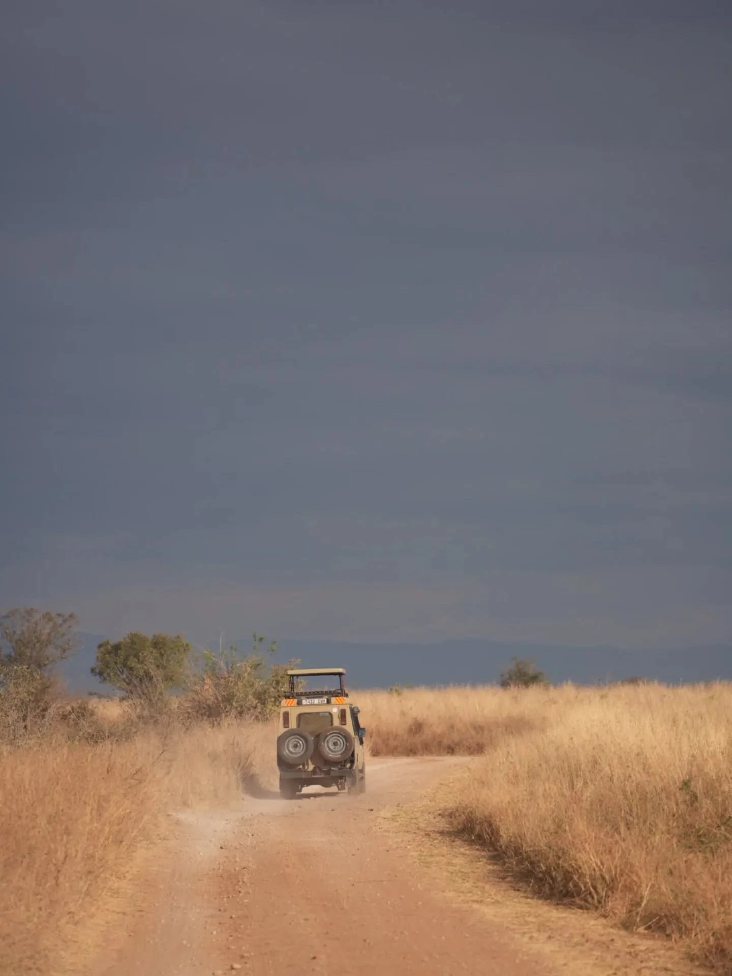 Ngorongoro conservation area
