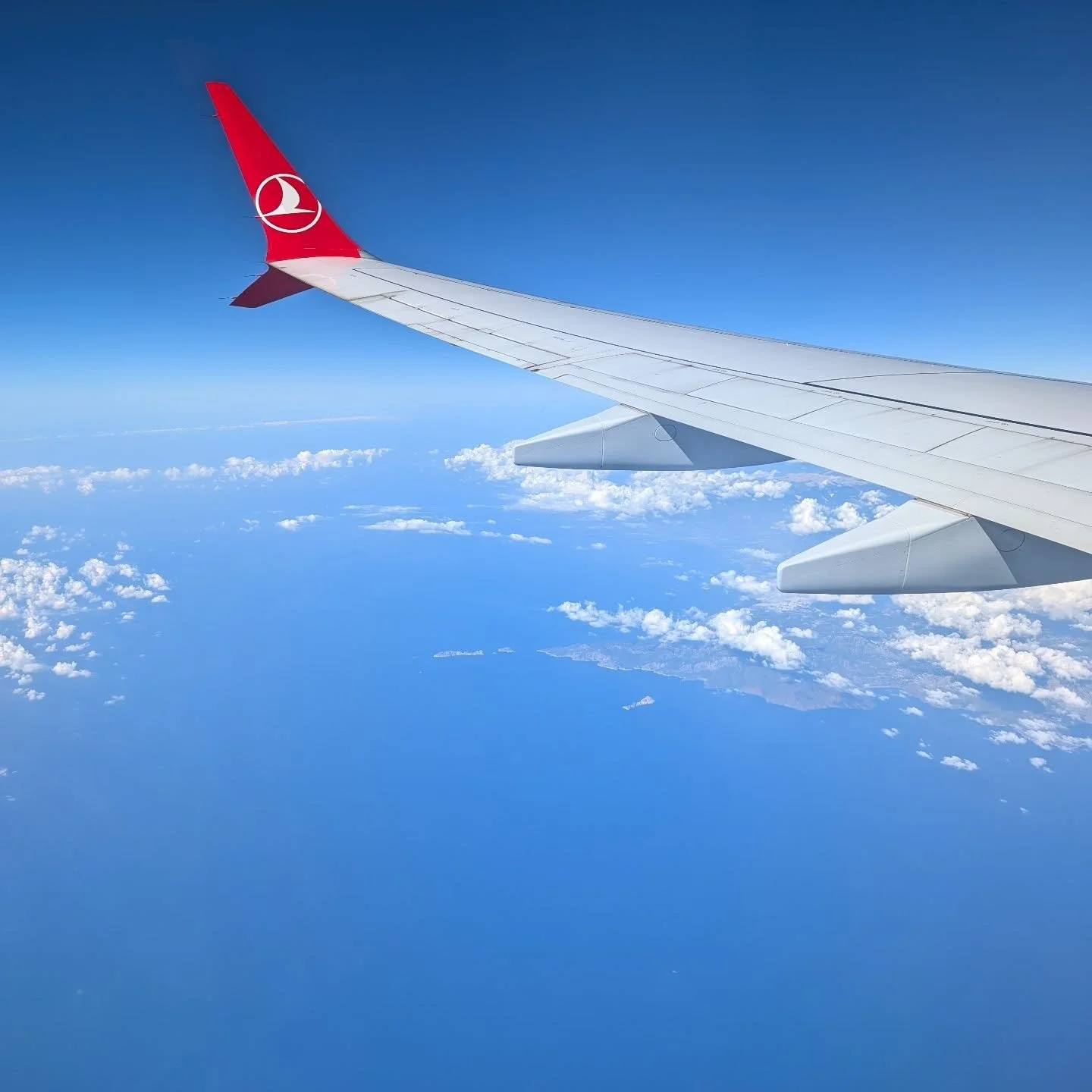 That we approach the Turkish coast, our latest Safari is over. On the bright side we explore Istanbul for a few days! 

#orientafricatravel #divetheunexplored #istanbulstopover #istanbul #antalya #kaş #scuba #safari #wildlife
