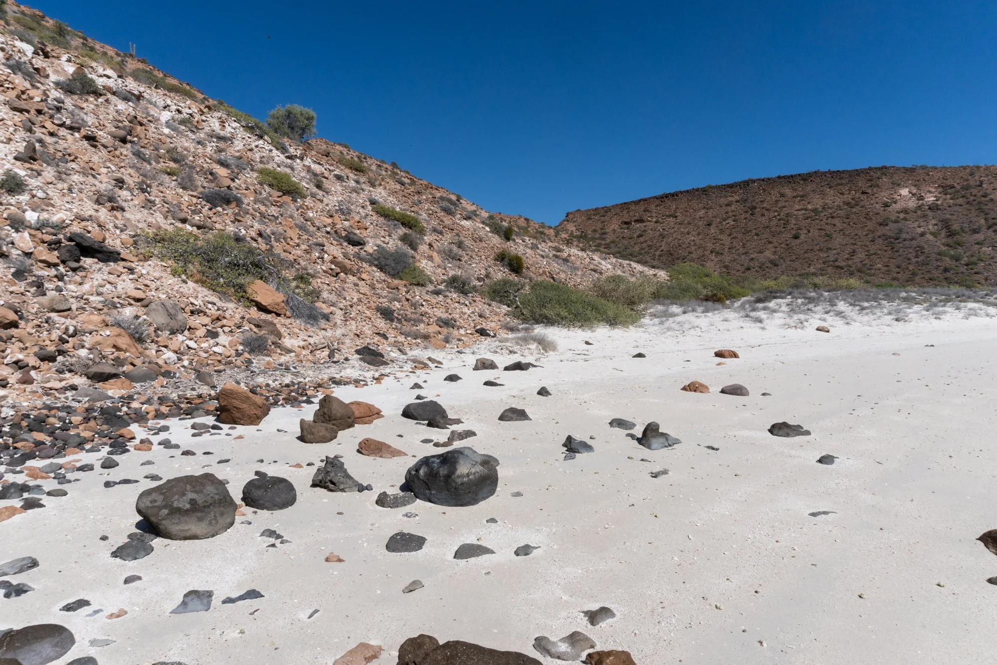 Paul Flower of Dressel Divers suggested that we take a look at the sea of Cortez with a view to bringing groups here. We thought that was a splendid idea. It took a while to get here from Wales, but the first day of diving made us realise that La Paz
