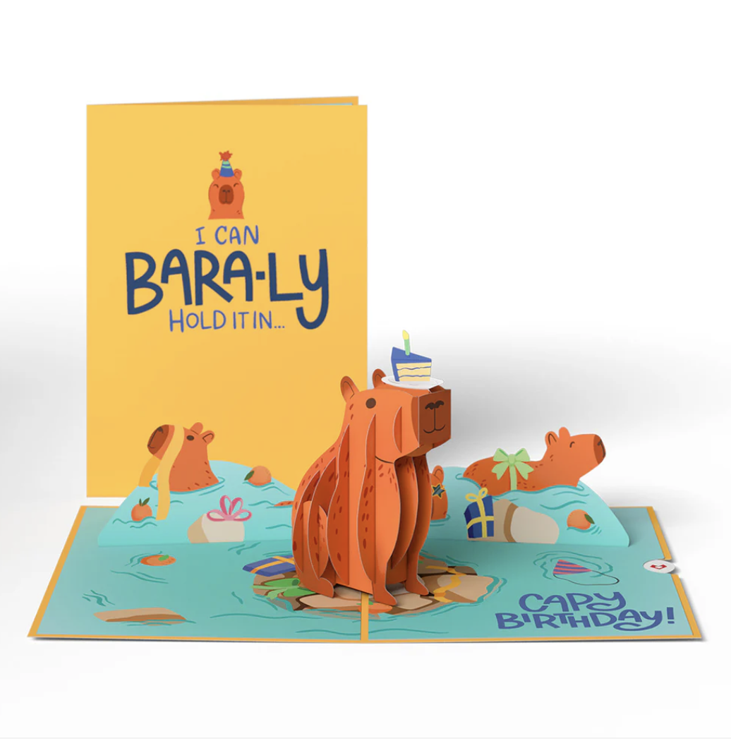 Birthday Animals 3-Pack (Capybara)