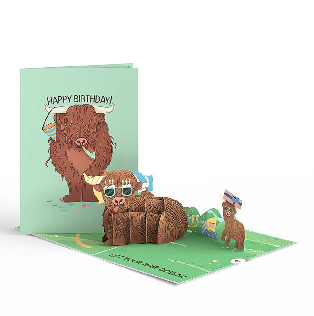 Birthday Animals 3-Pack (Highland Cows)