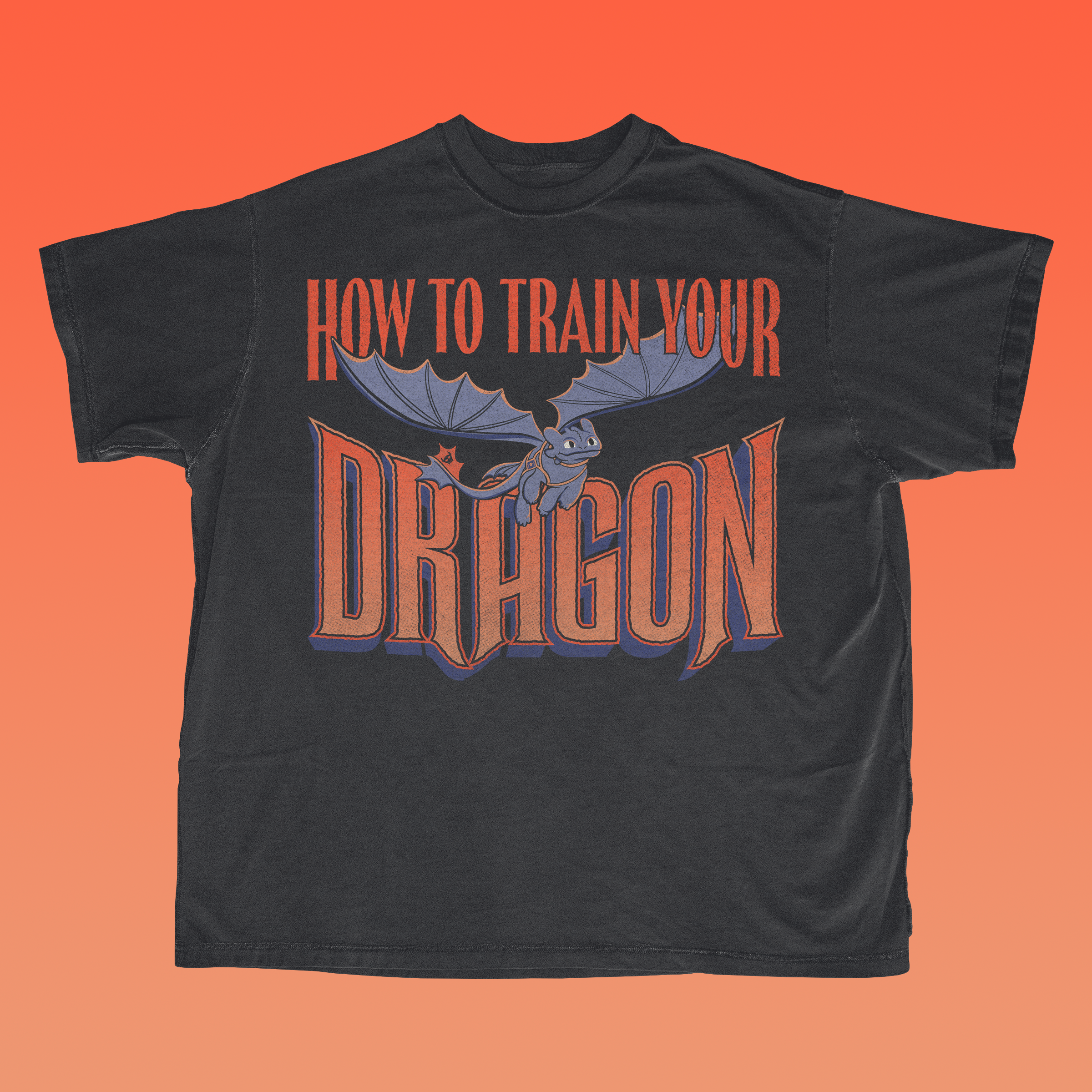 How to Train Your Dragon concept