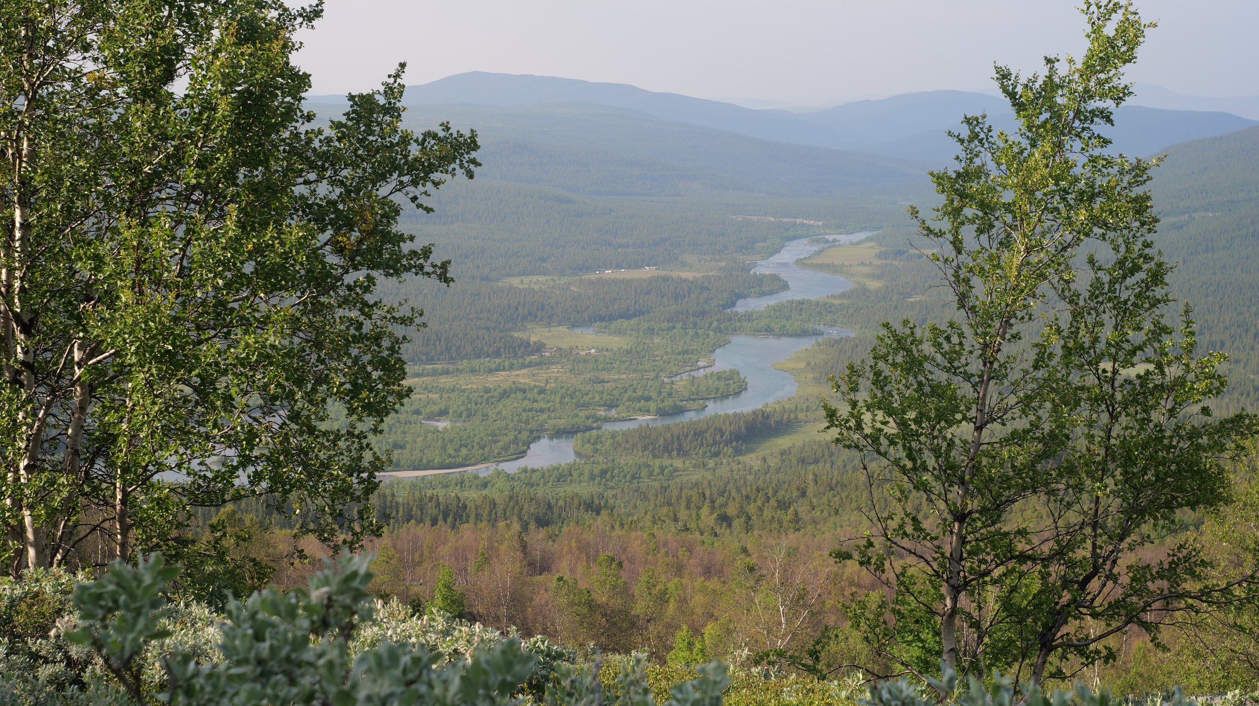 P1150556.jpg
