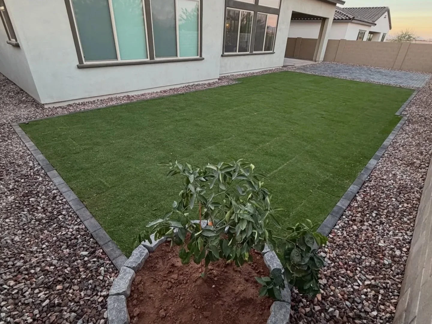 Sod, rocks and a paver border installed at this local backyard near Phoenix, AZ by Better Life Landscape & Design