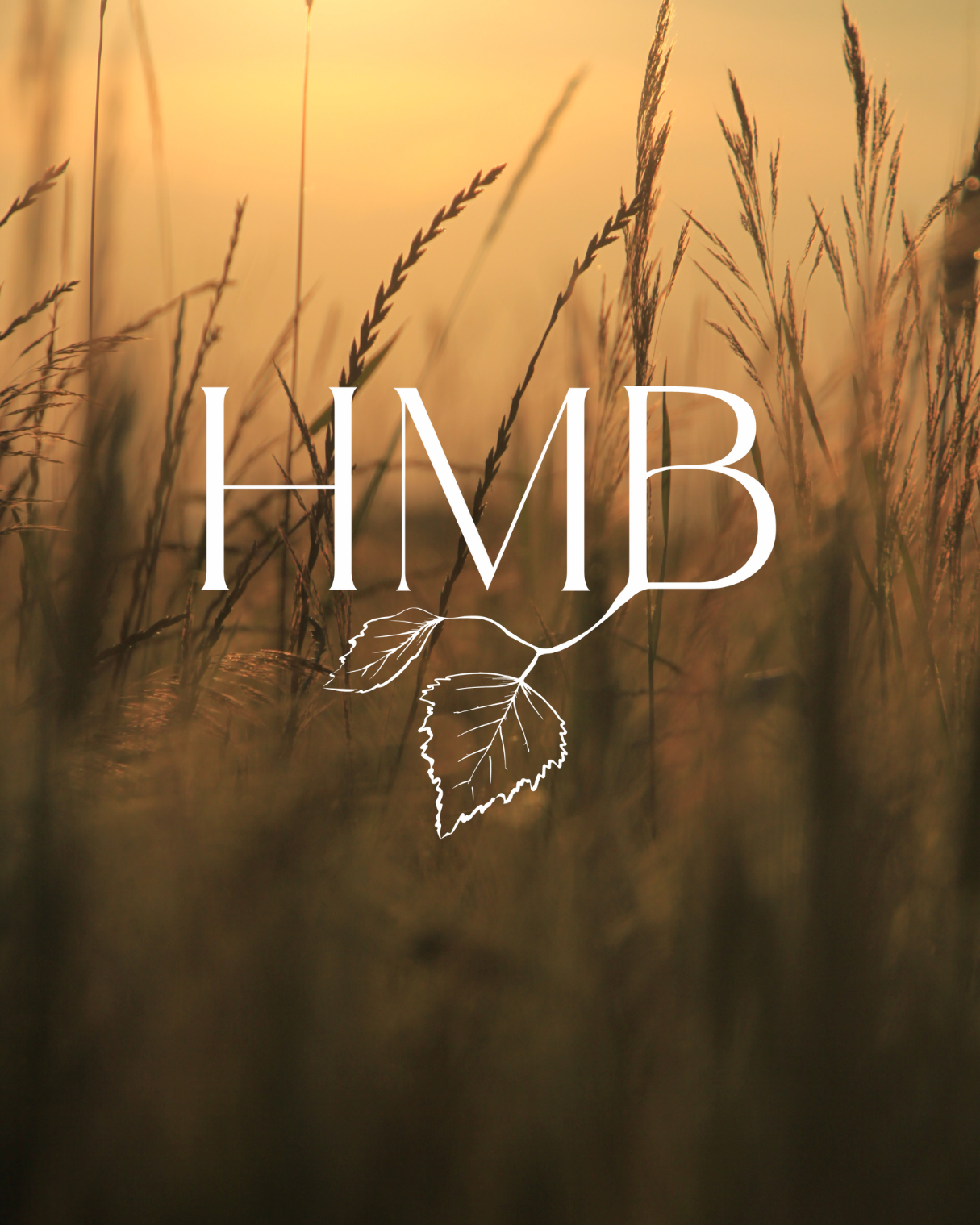 hmb2.png