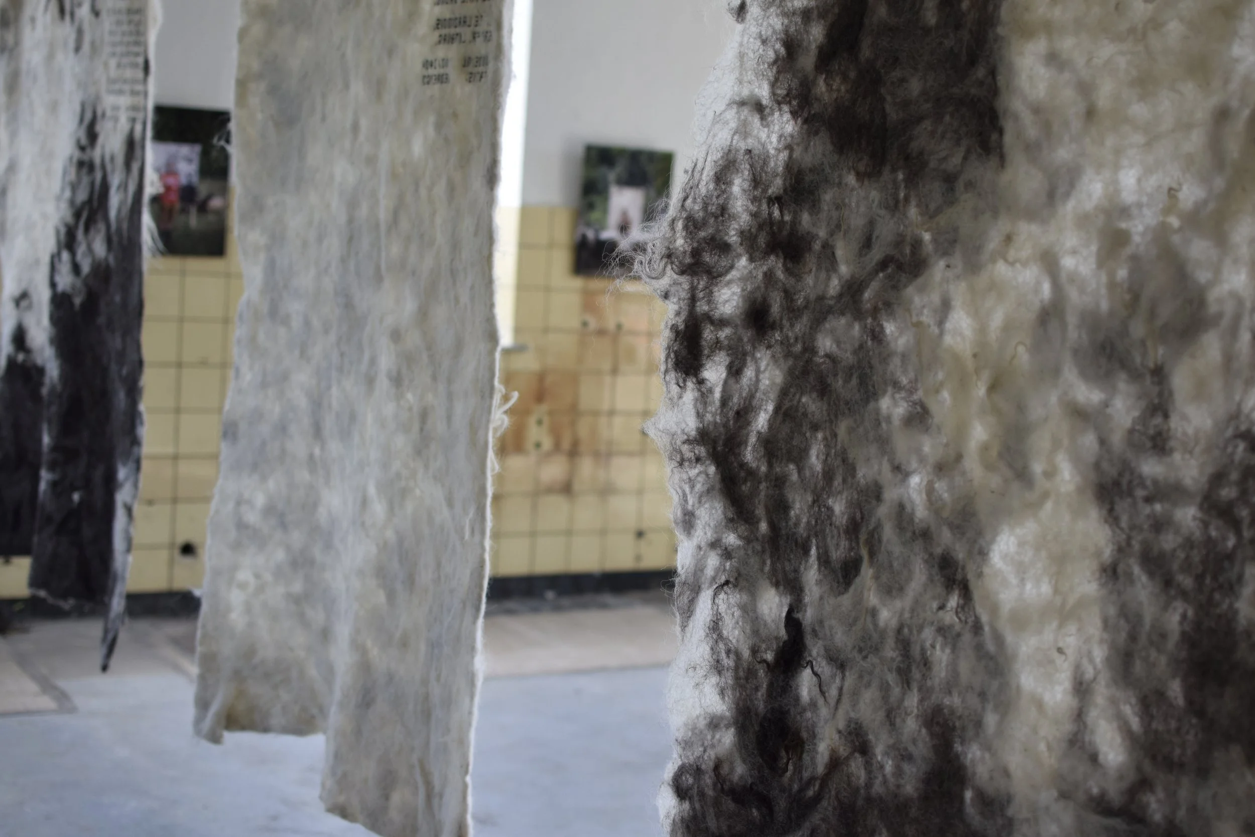 Pollyanna Moss Landschaap 2.JPG