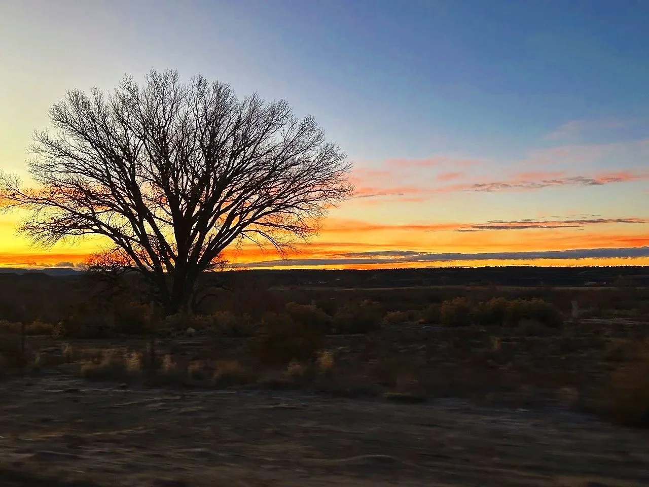 40 - We were up bright and early for our last day of driving, as we expected it would take at least 7-8 hours to get home.