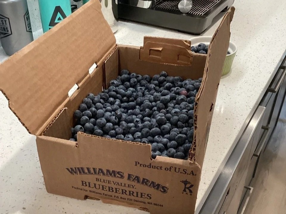 07 - And, boy, does she love those blueberries.  