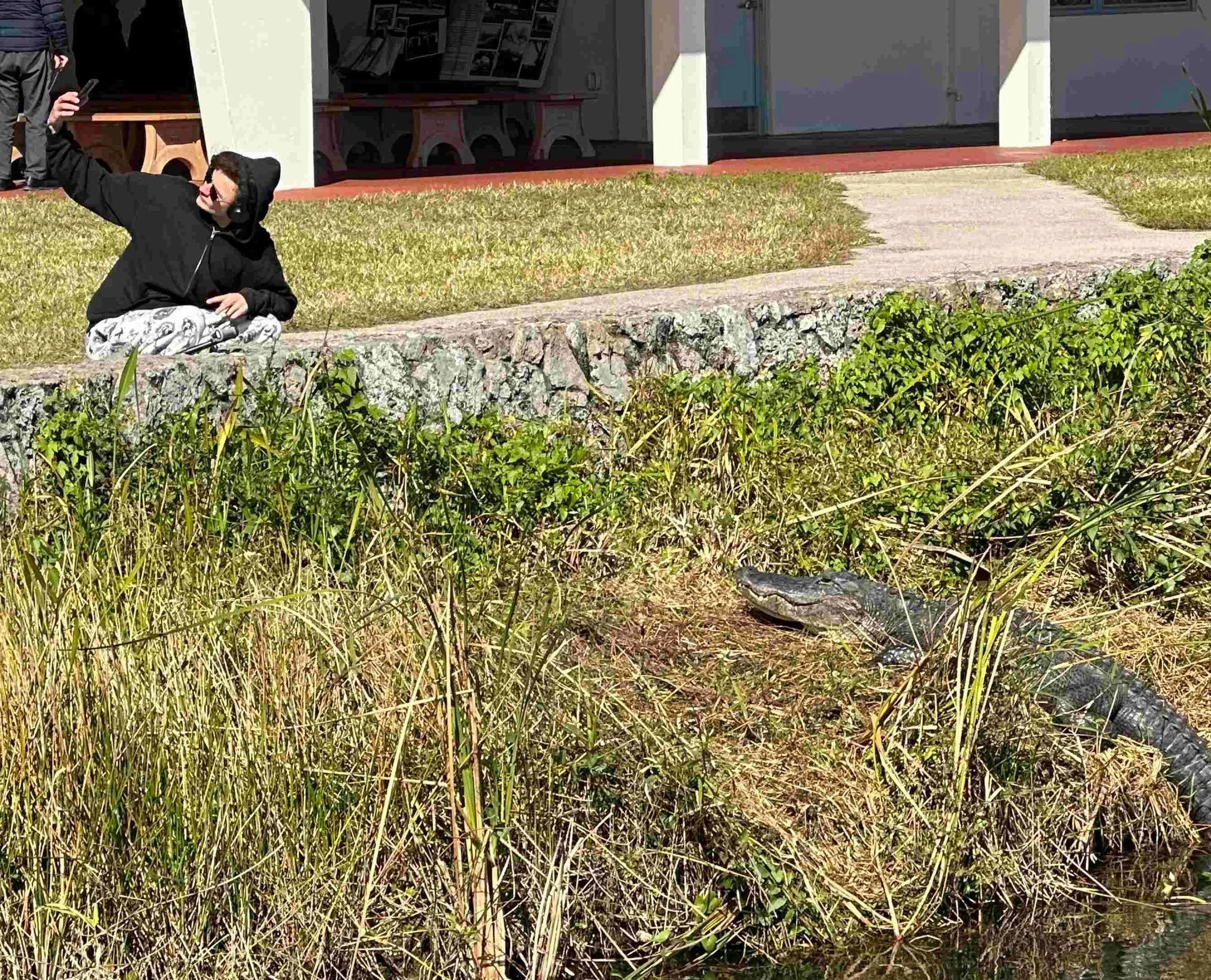 69 - And we saw this stupid person with an apparent death wish, just waiting to get ambushed. Alligators can run in short, rapid bursts on land at speeds of 11–15 mph. They rely on short-distance ambushing rather than long-distance chasing on land.