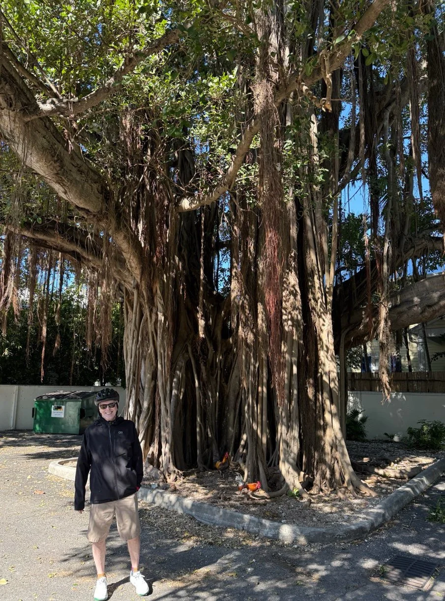 14 - Rick and a couple of chickens enjoy the shade of a large banyan tree.