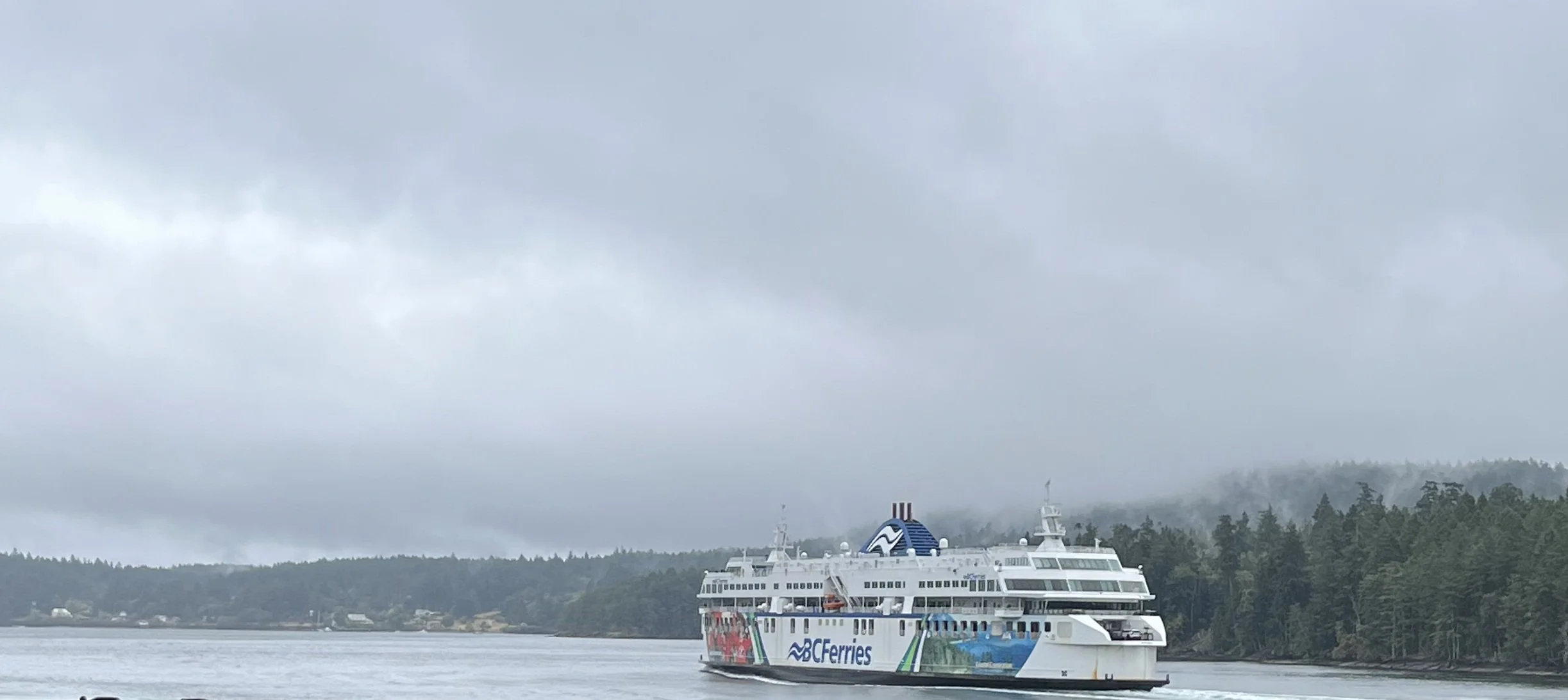 12 - On a chilly, rainy day, Steve drove us all to Canada, and we took a British Columbia Ferry from the mainland to Vancouver Island.  