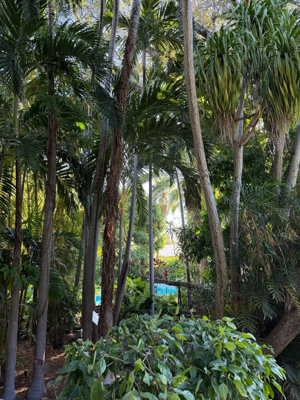 42 - The house was Hemingway's residence during the 1930's. While the house was nice, the gardens were spectacular.