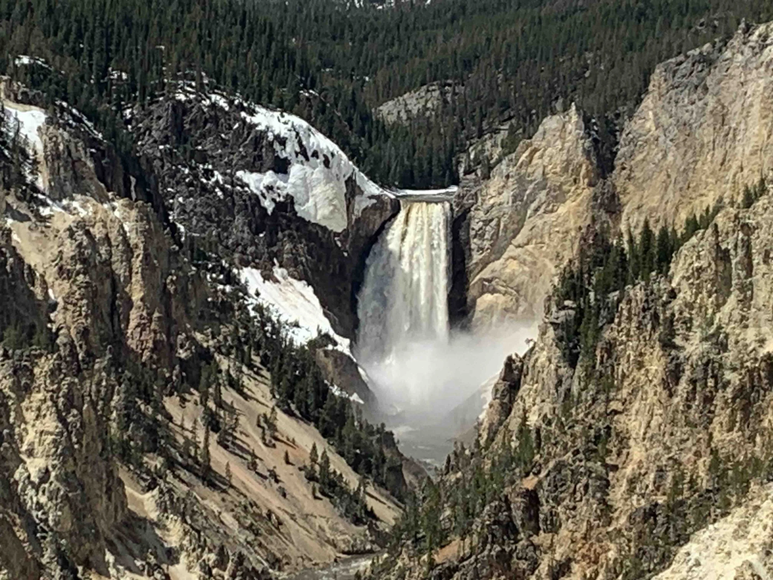 Grand Teton and Yellowstone - May 2023
