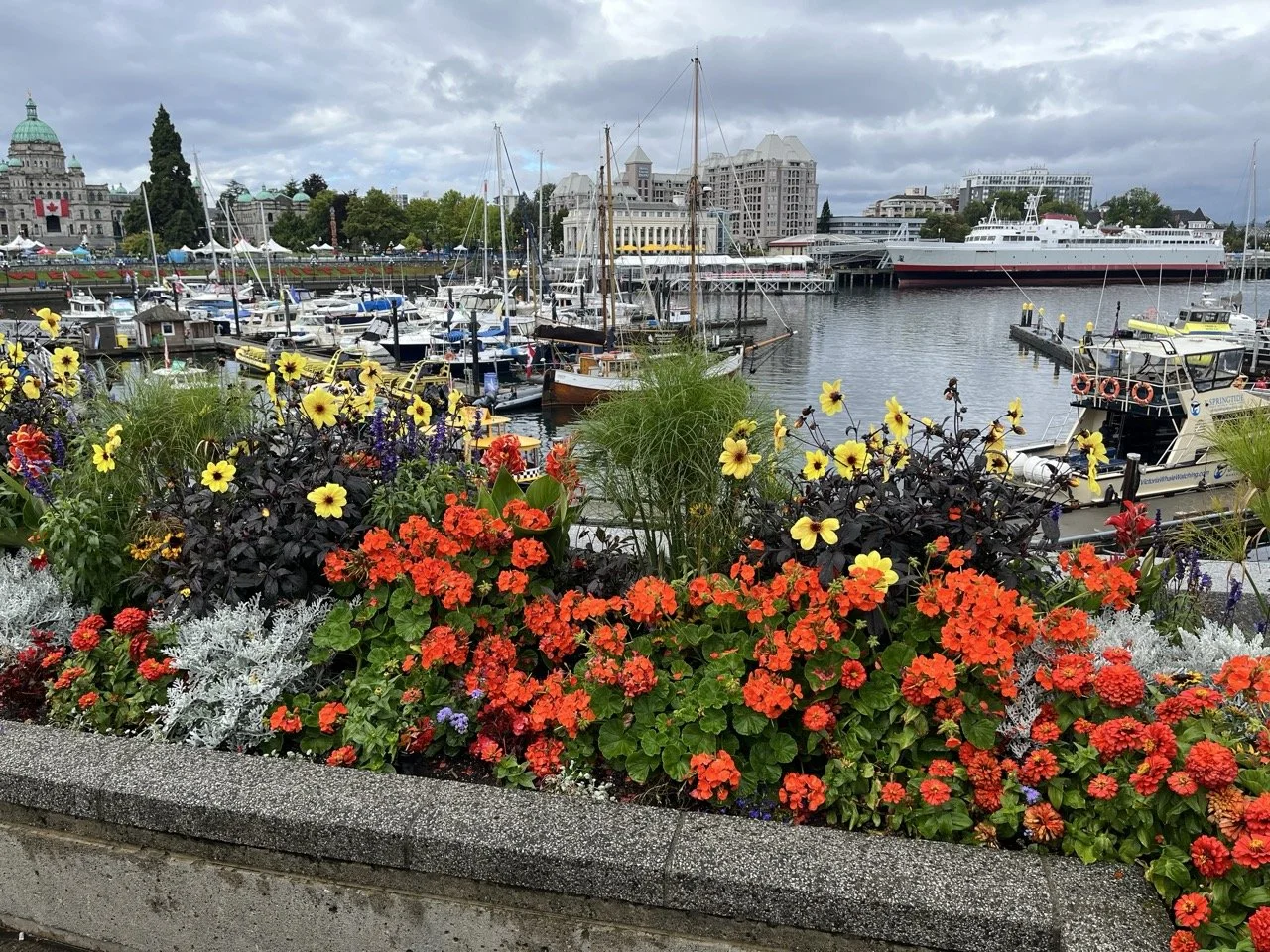 15 - There were beautiful flowers all over downtown Victoria.