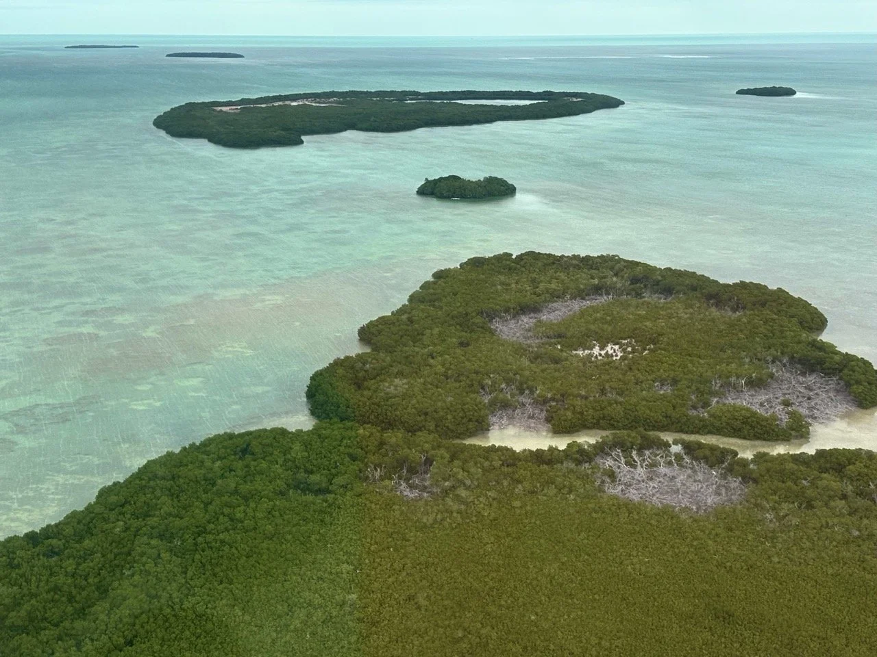 29 - Our seaplane flew at an altitude of 400-500 feet, so there were great views of dozens of keys. While the views were a plus, it was particularly comforting to fly so low because our plane was older than Rick.