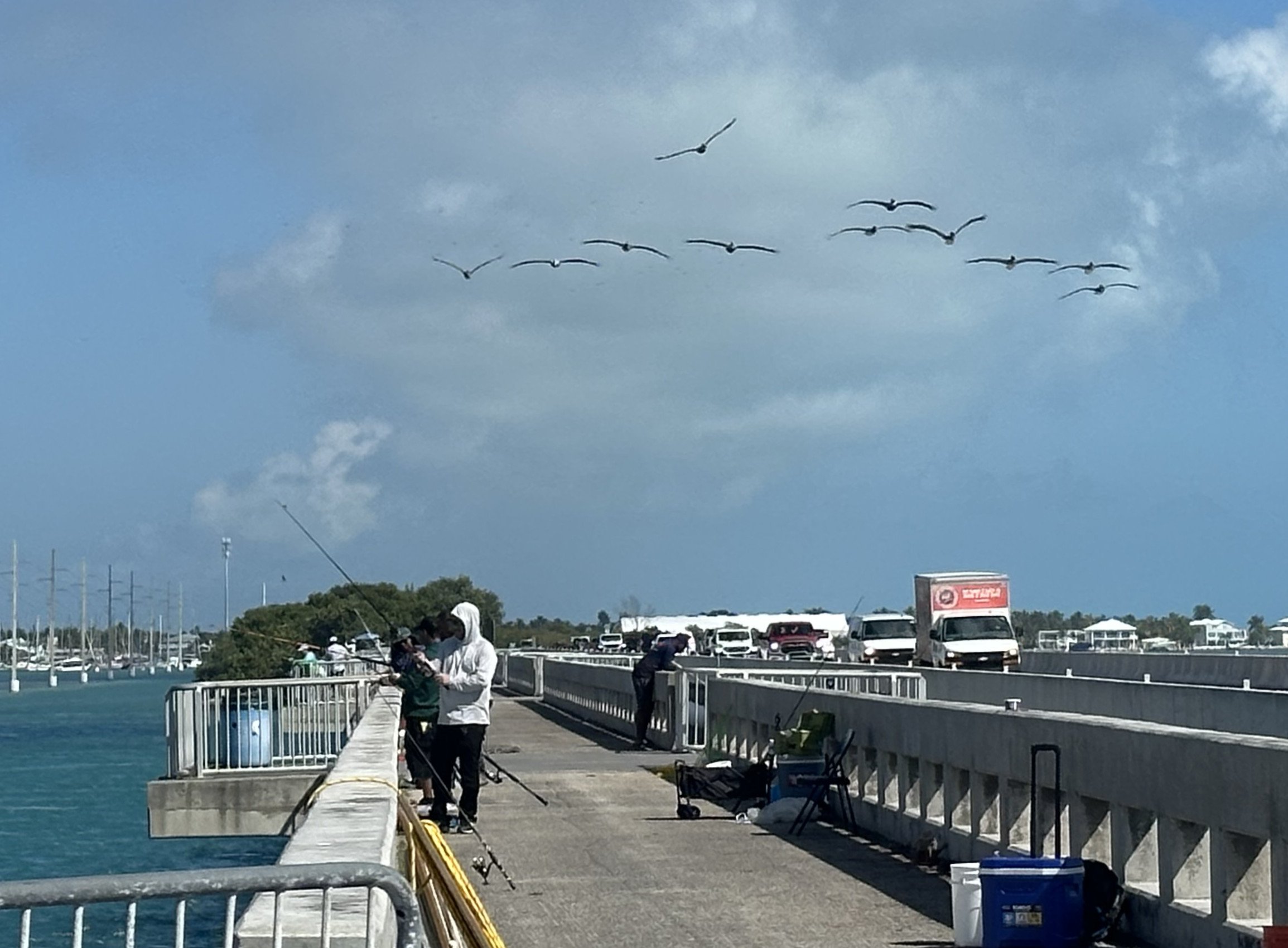 05 - There are places along the Overseas Hwy for people to fish.  That's a flock of pelicans flying overhead!