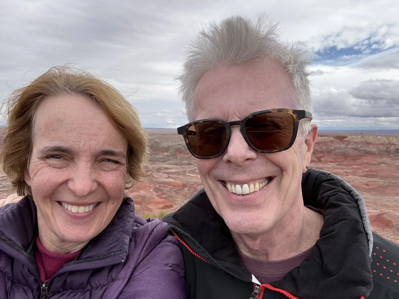 38 - Moving on to the "Painted Desert" part of the park, we realized that we were running out of time and wouldn't be able to make it to our next planned stop on-time.  Oh well, we'll see the Bisti Badlands next time through. 