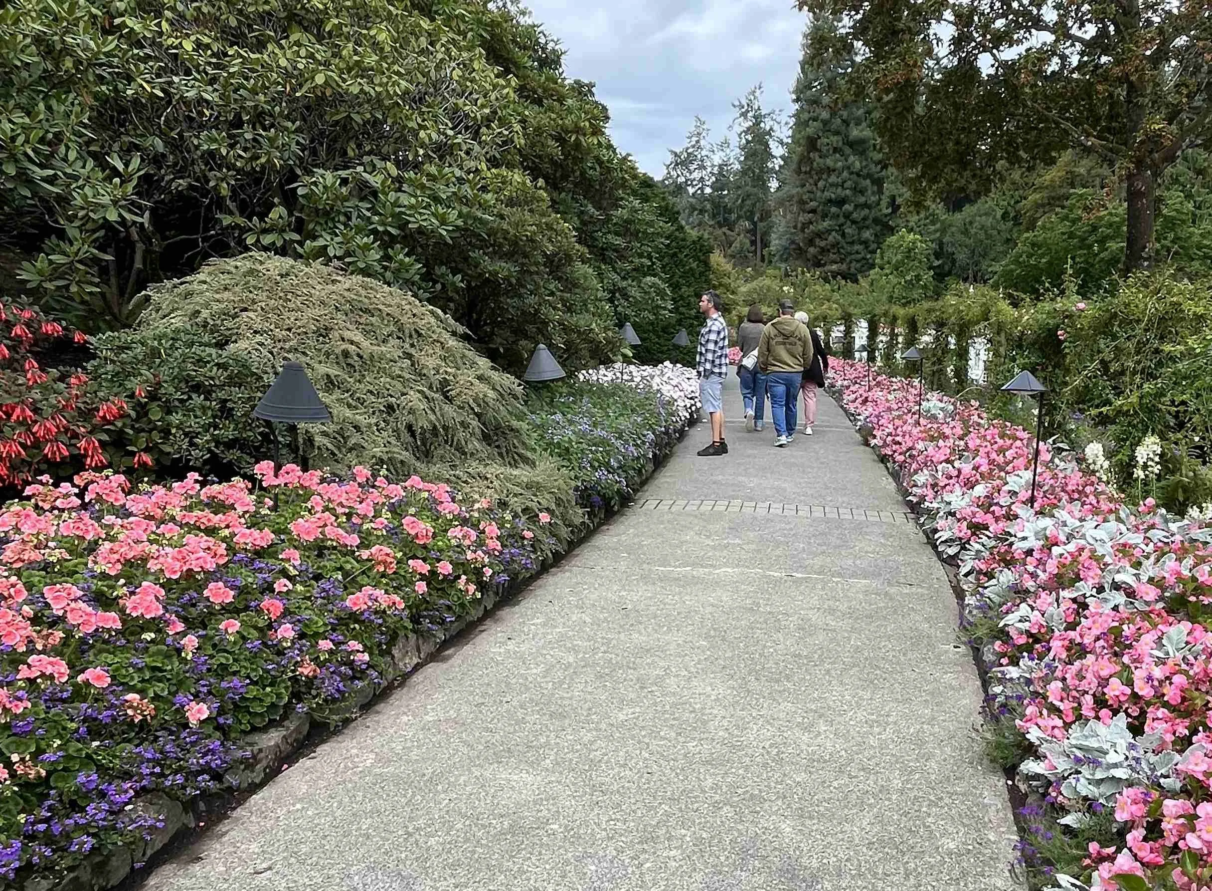 25 - Steve pretends to be interested in looking at the flowers.