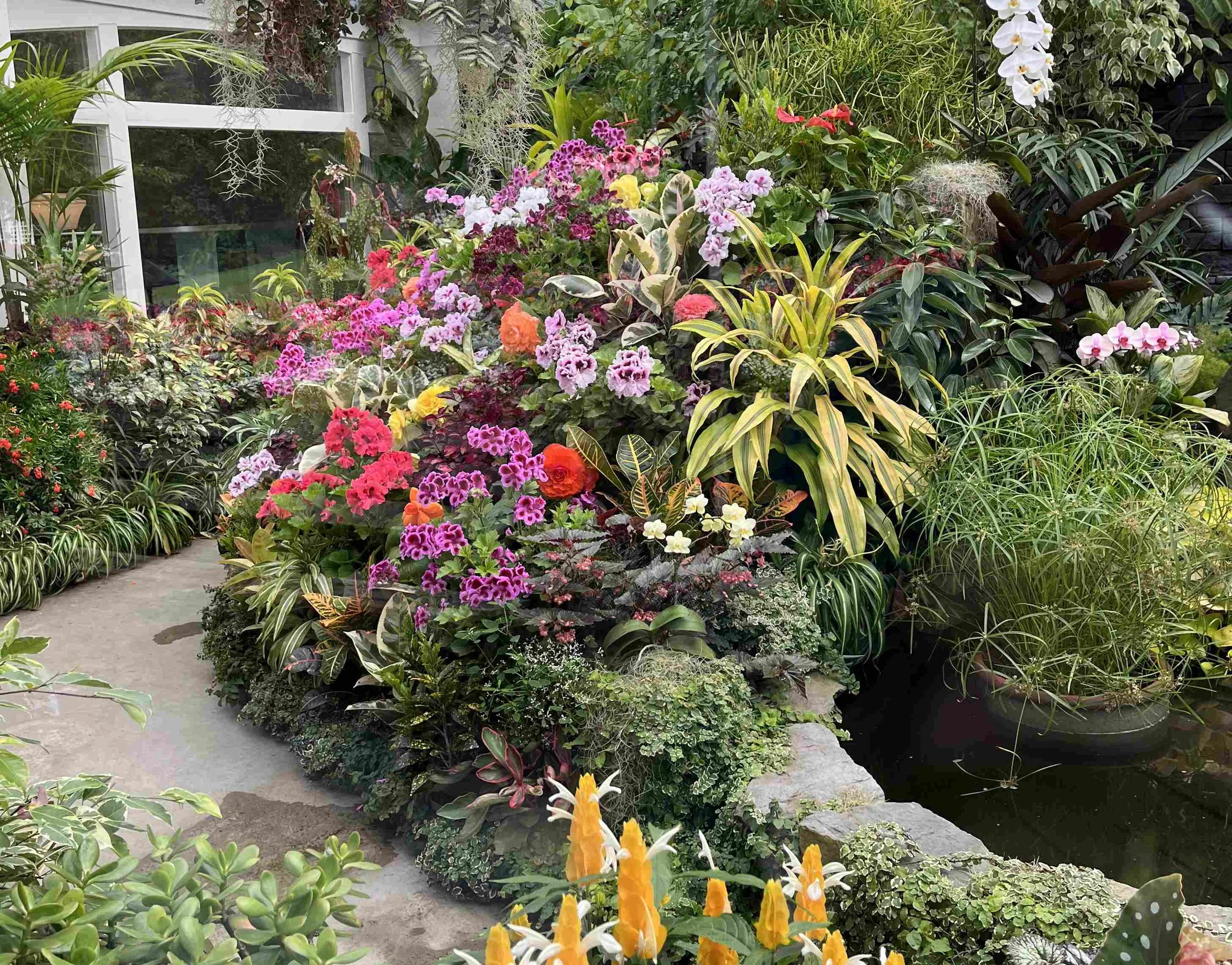 Bellingham, WA + Victoria, B.C. - August 2025