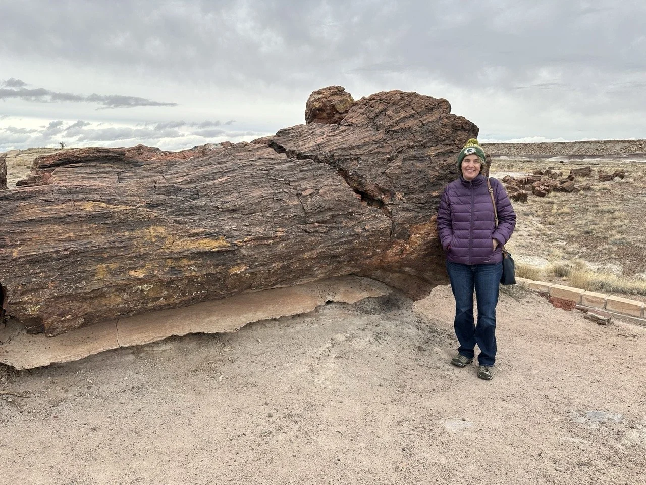 31 - This place was a prehistoric forest back in the day, but now all the tree trunks are stone!  How the heck does a tree turn into stone instead of rotting?