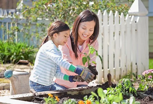 힘차게 봄을 맞이하는 건강한 가정을 위한 도움말을 안내해 드립니다