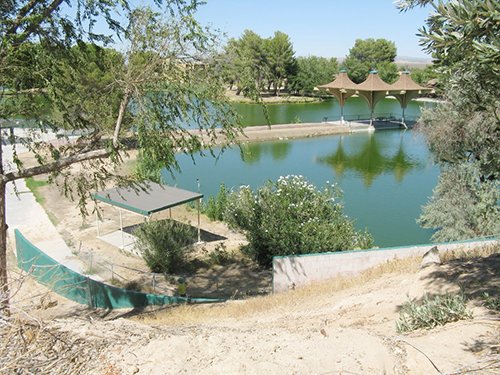 ‘세이브 아워 워터’가 캘리포니아 주민들의 정원을 탈바꿈 시키는데 도움이 되는 새로운 리베이트 찾기 도구와 정보 자원를 소개