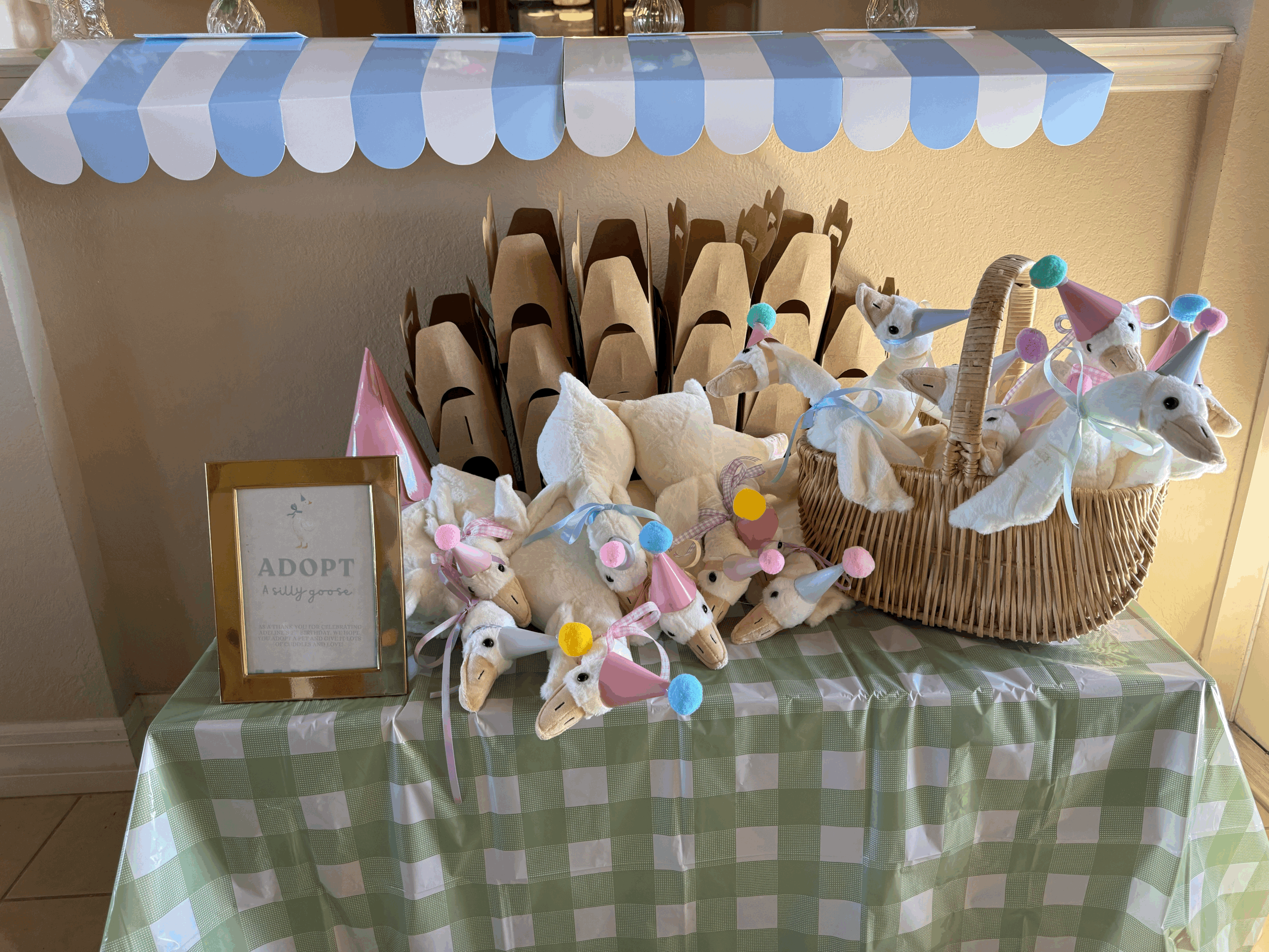 Two Silly 2nd Birthday